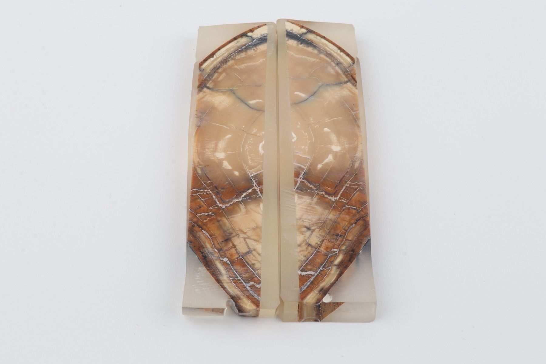 Stabilized mammoth ivory scales