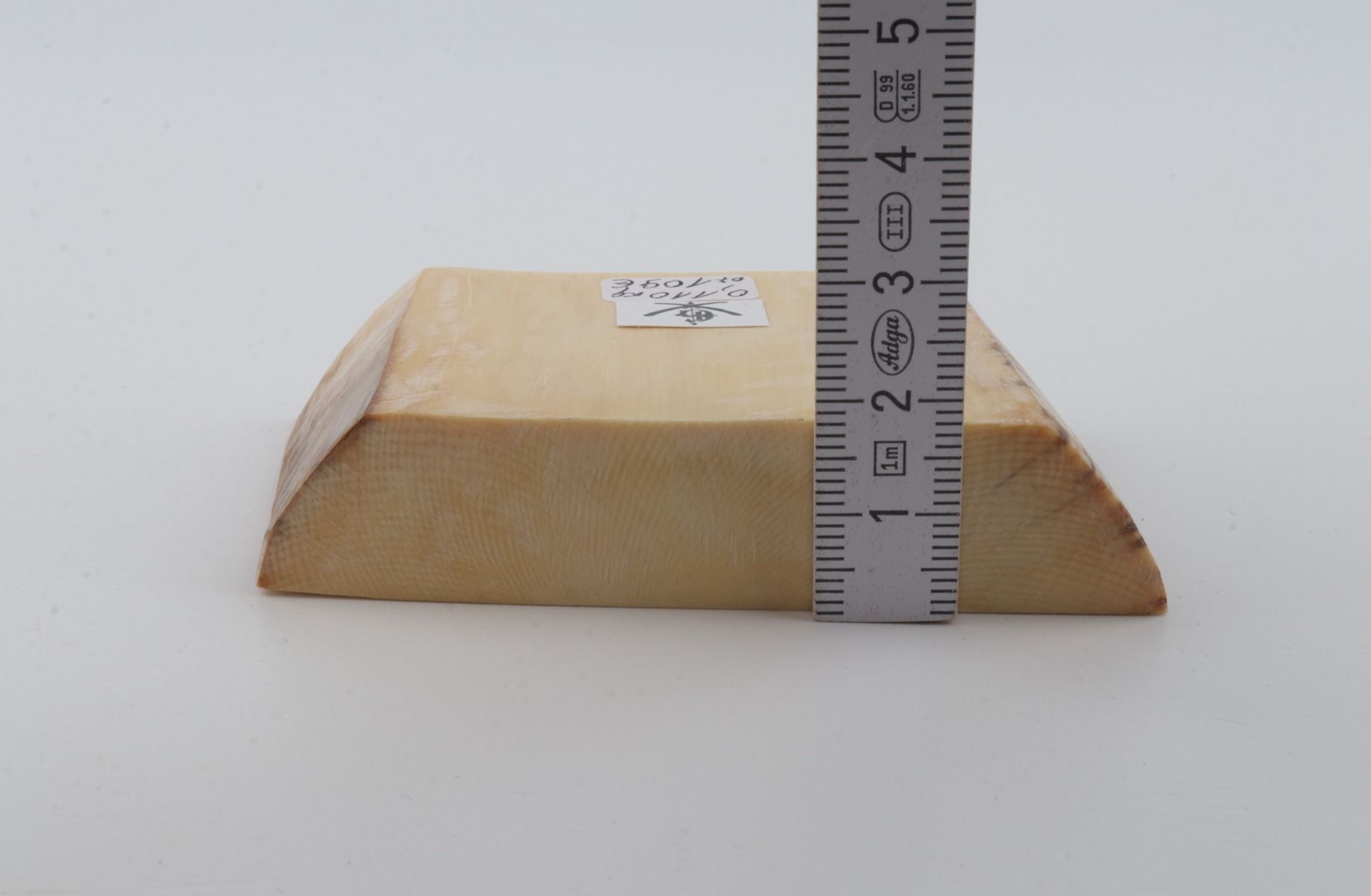 White mammoth ivory segment