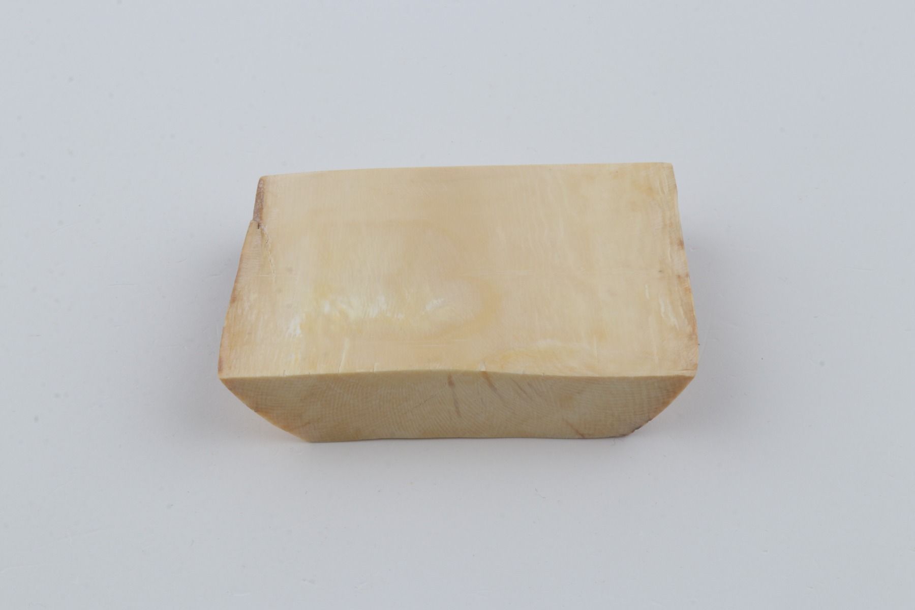White mammoth ivory segment