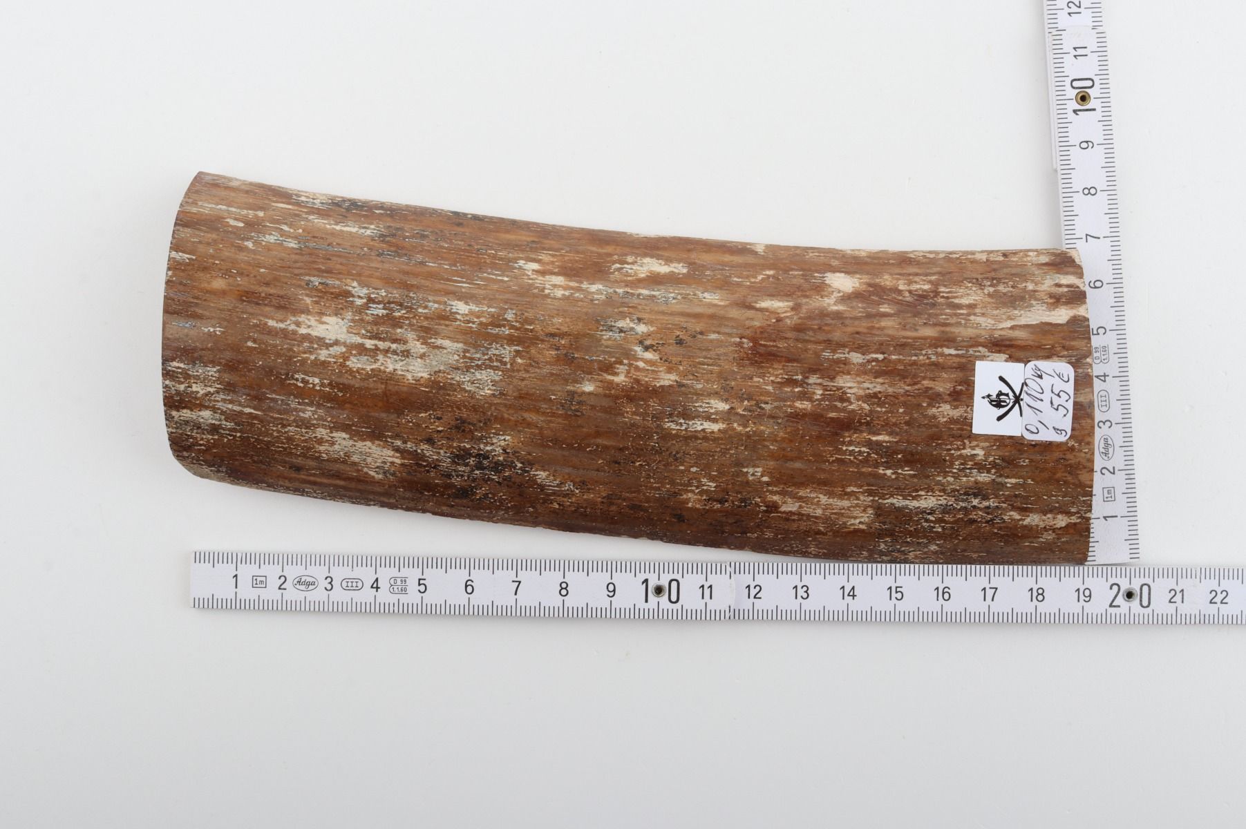 Brown-mustard mammoth bark