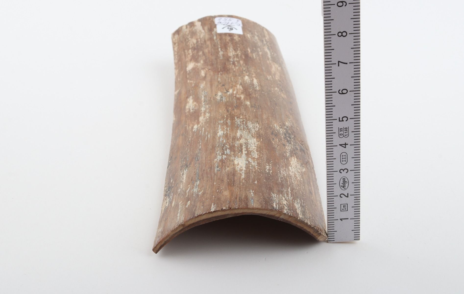 Brown-mustard mammoth bark