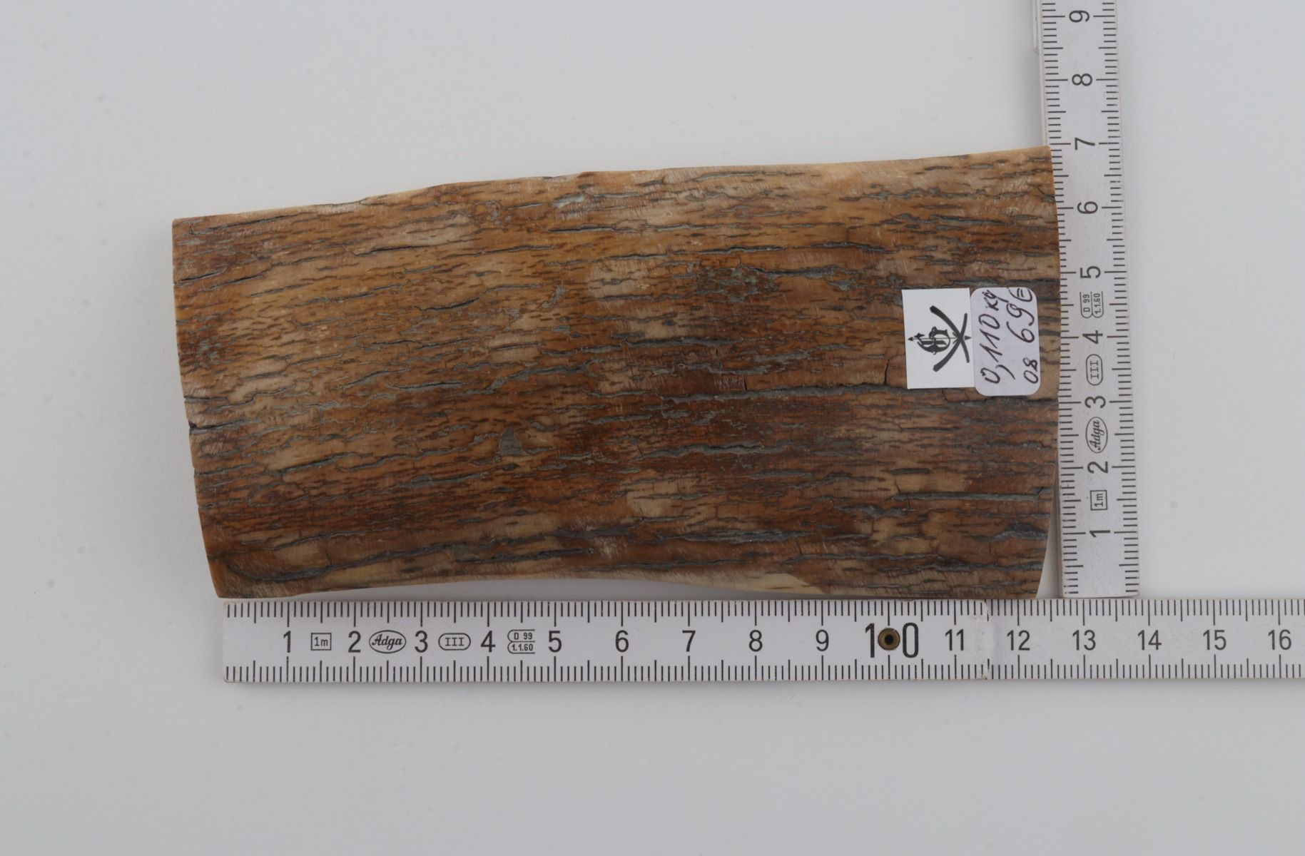 Beige mammoth bark