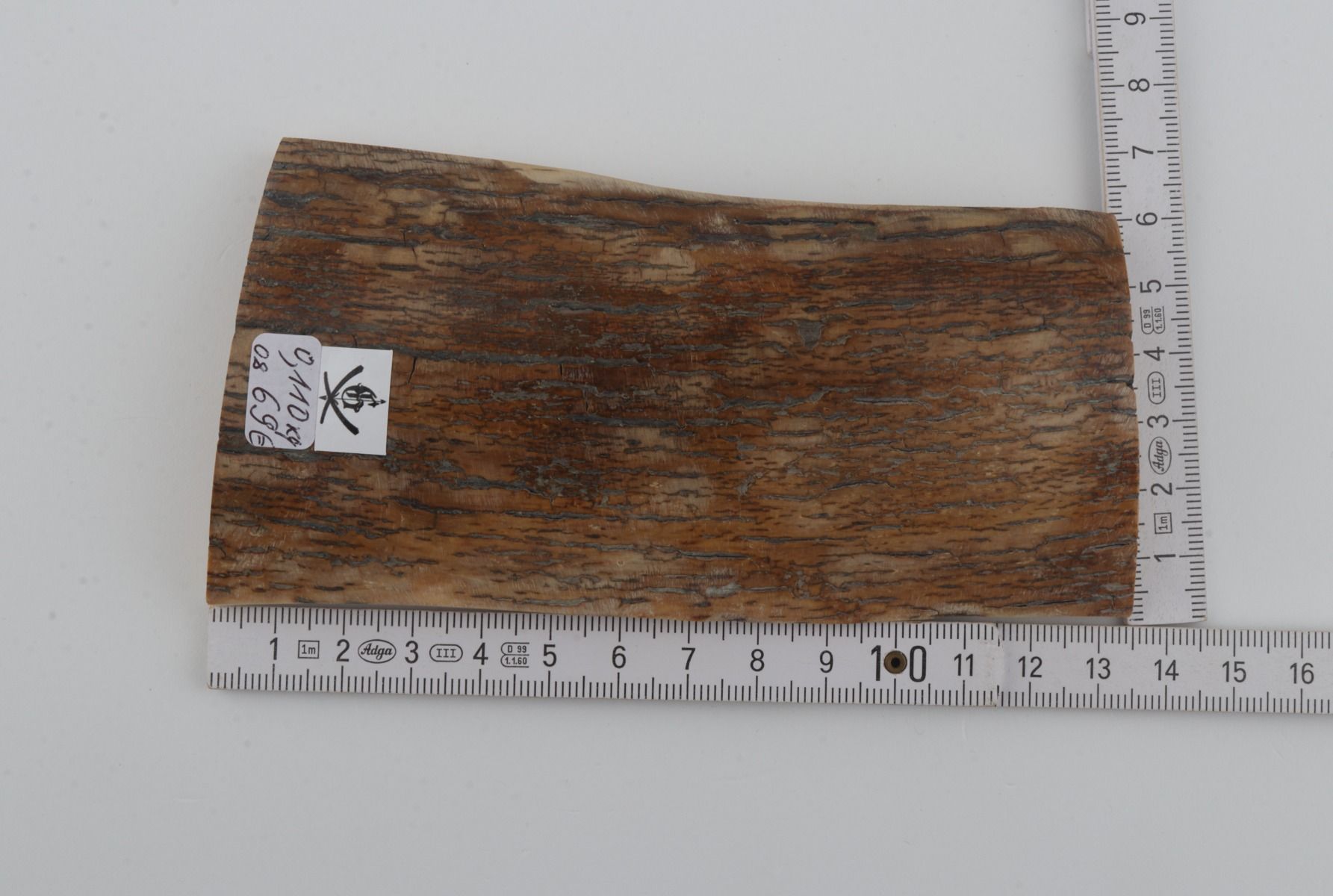 Beige mammoth bark