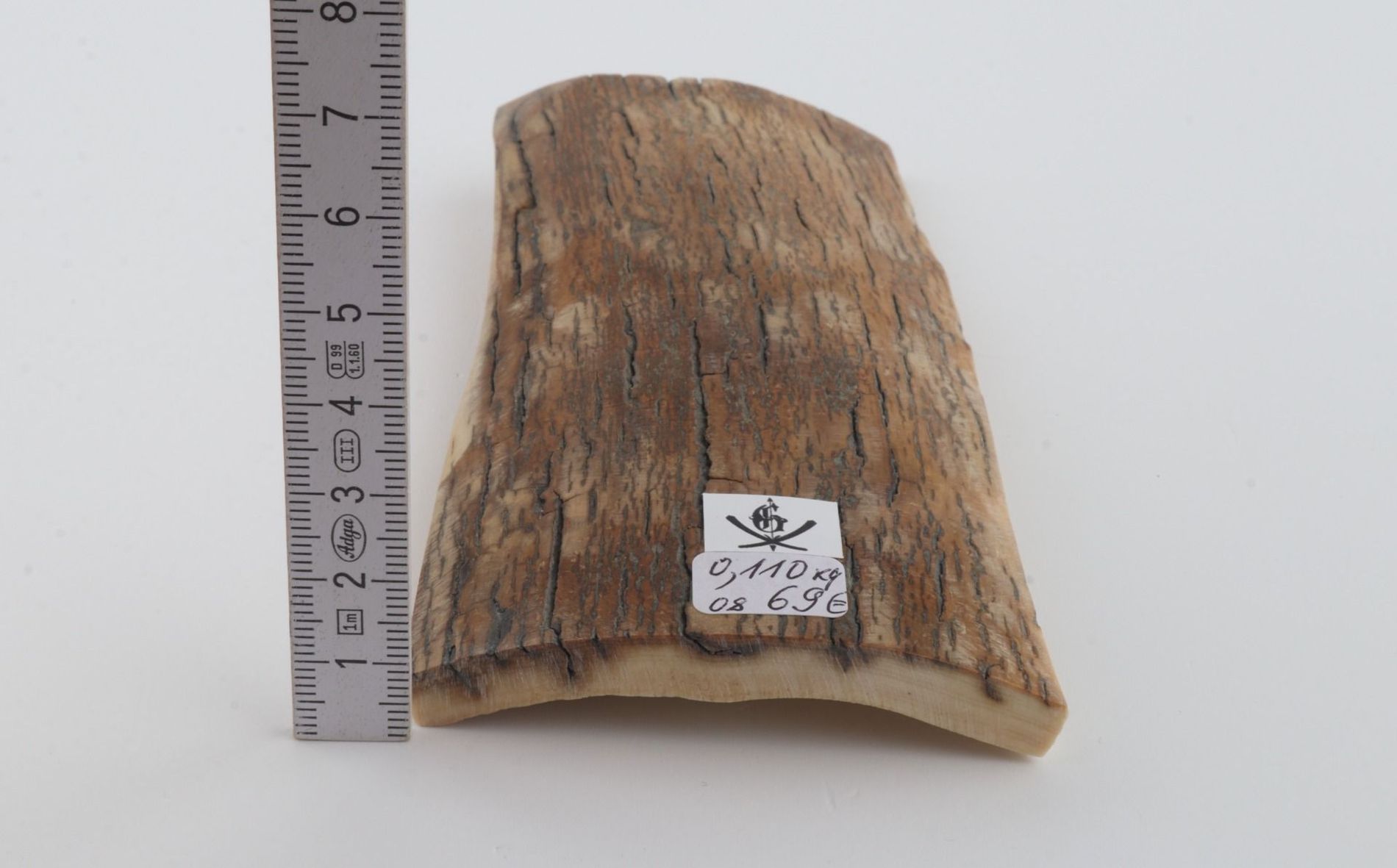 Beige mammoth bark