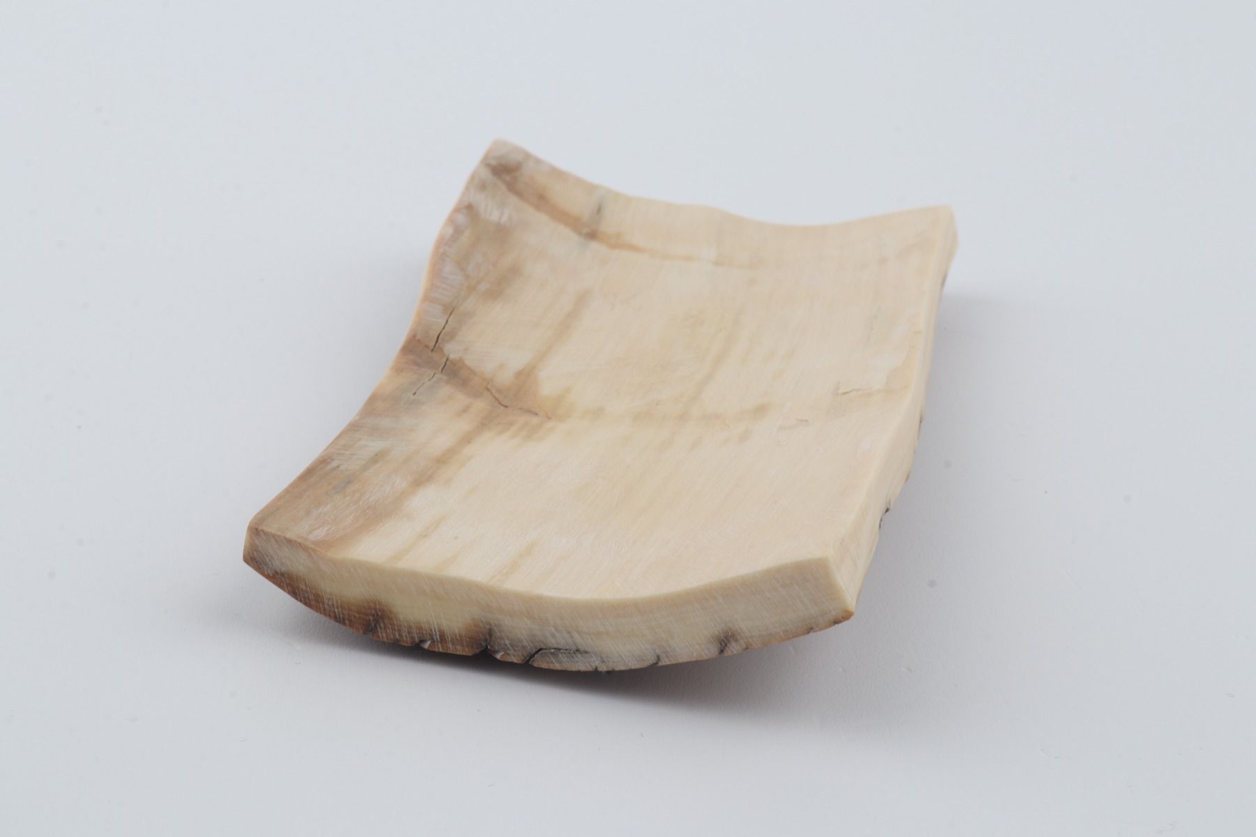 Beige mammoth bark