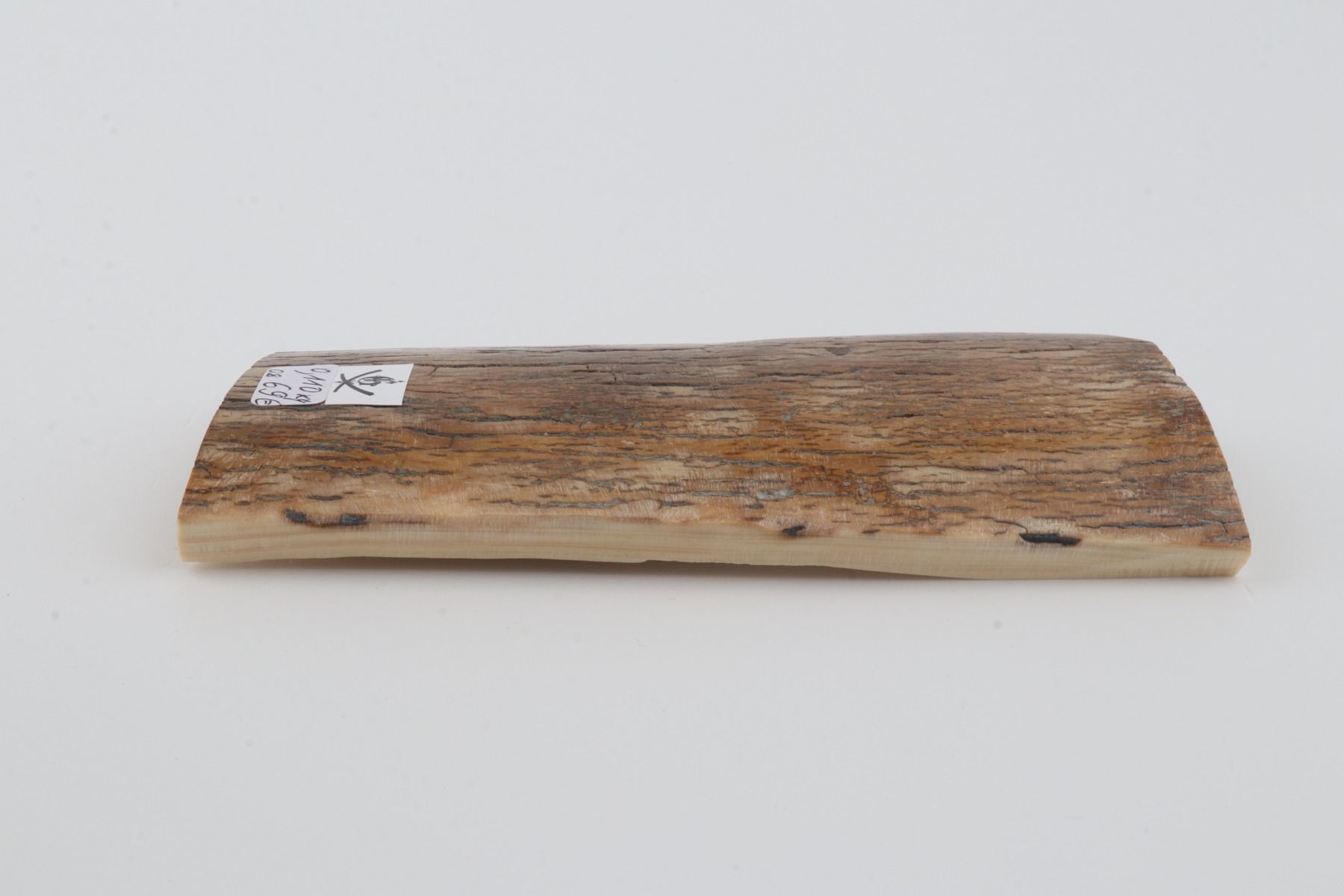 Beige mammoth bark