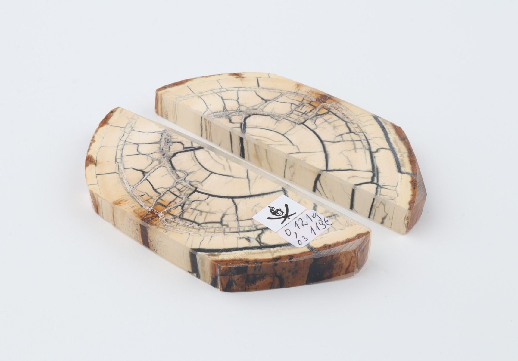 Stabilised mammoth ivory scales