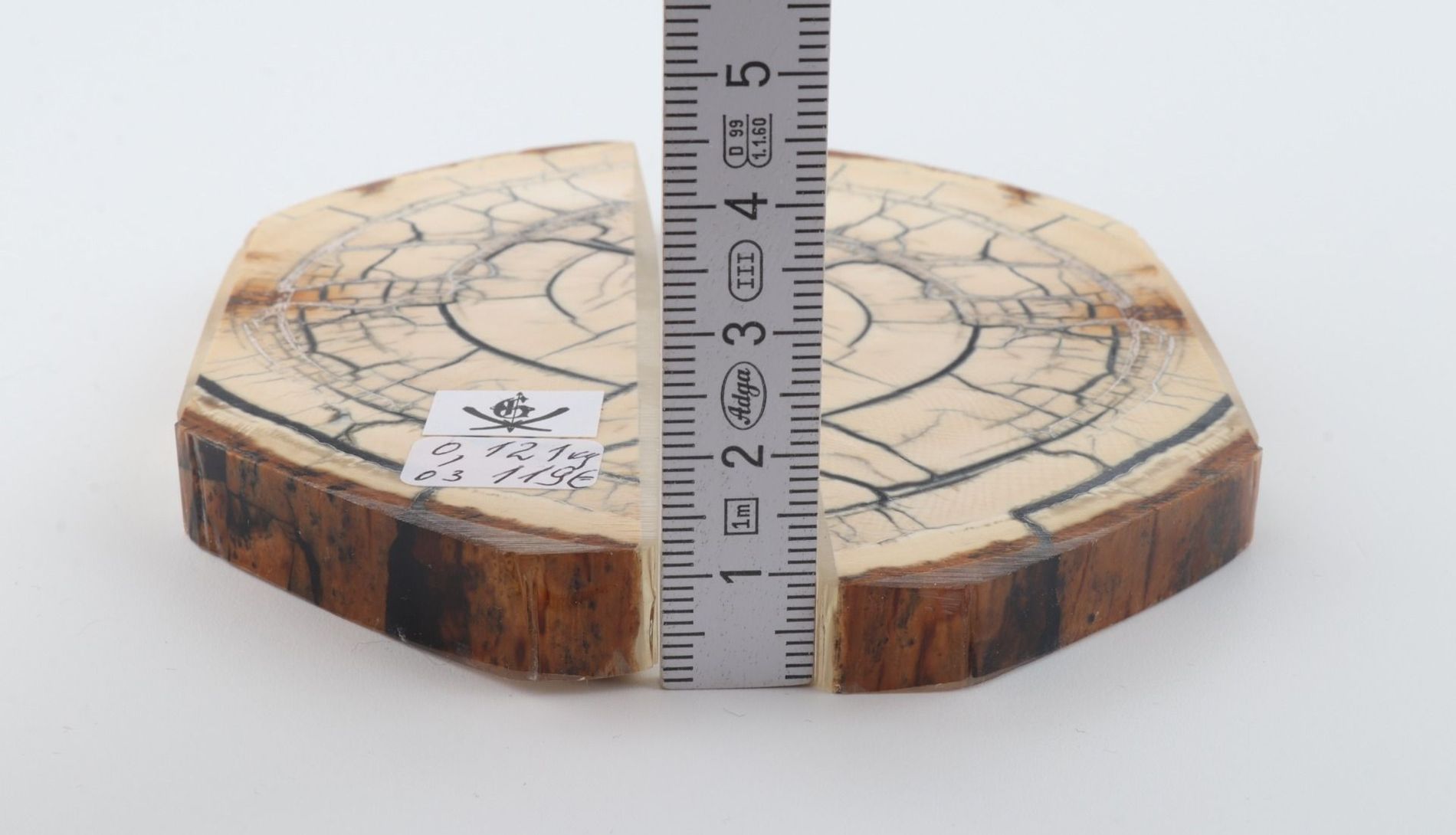 Stabilised mammoth ivory scales