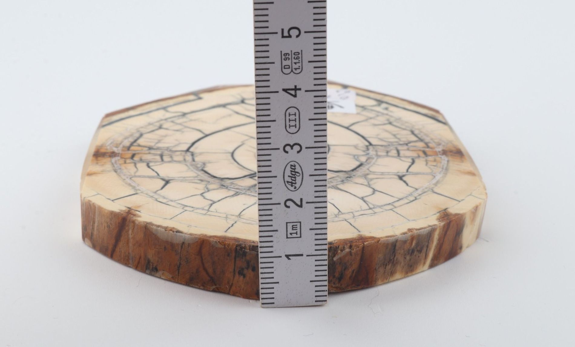 Stabilised mammoth ivory scales
