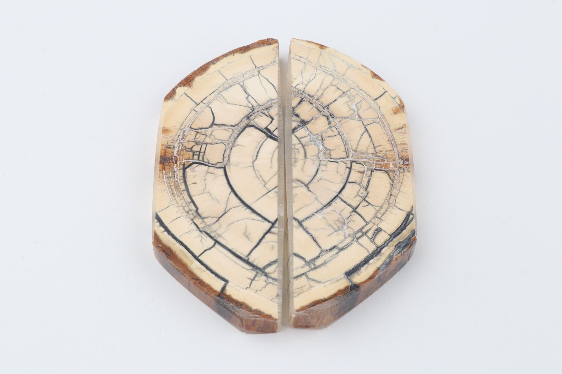 Stabilised mammoth ivory scales