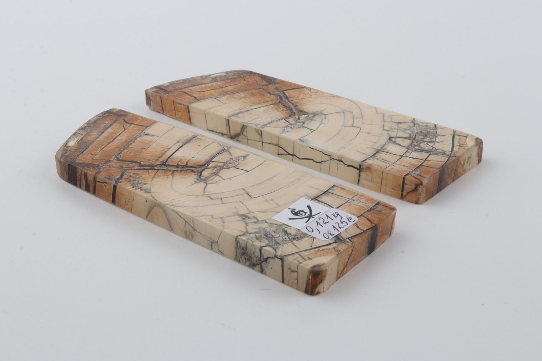 Stabilised mammoth ivory scales