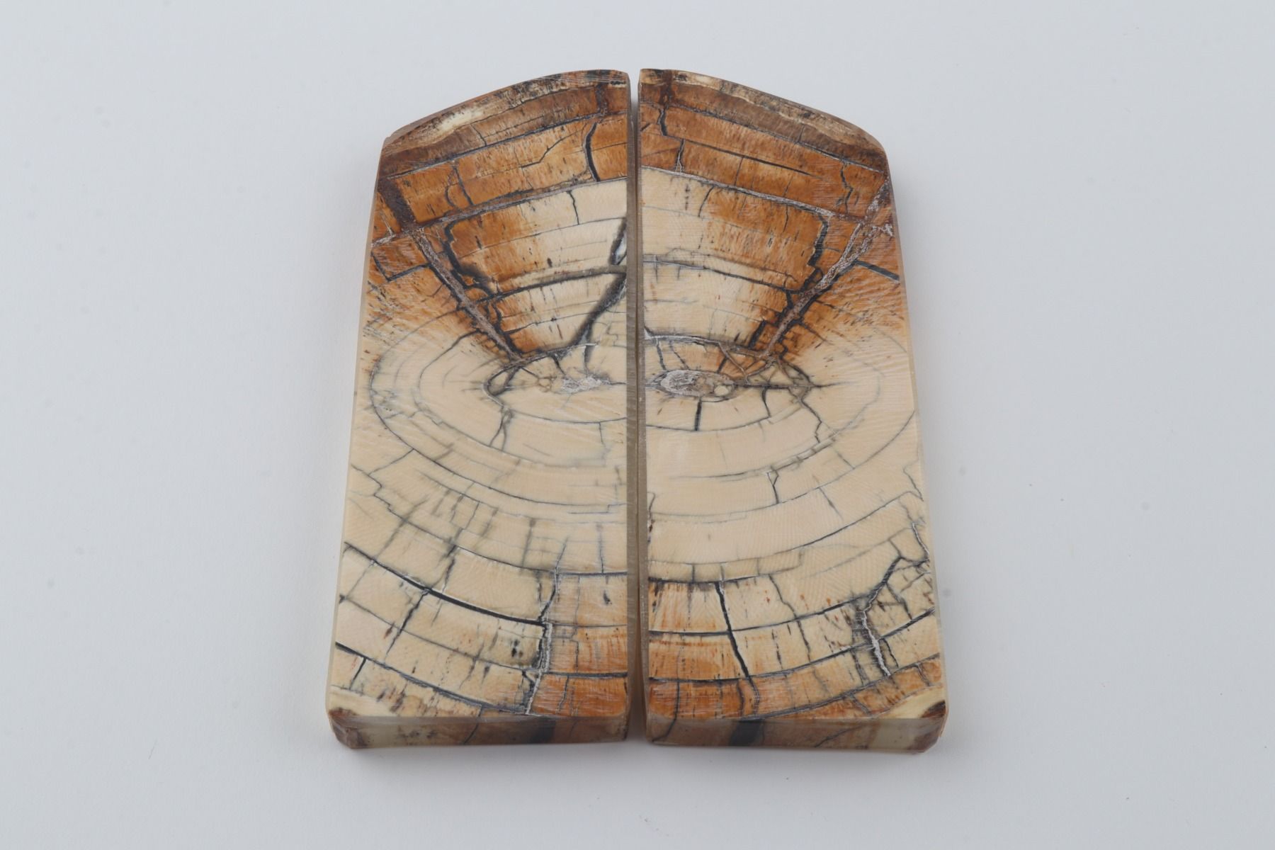 Stabilised mammoth ivory scales