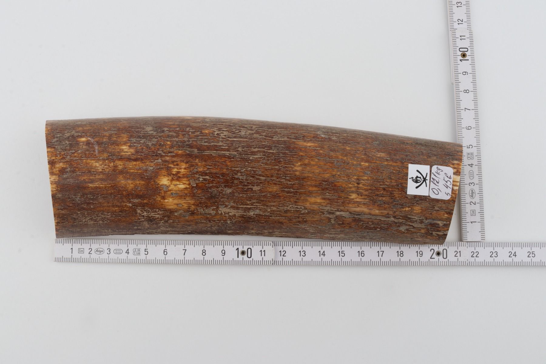 Brown mammoth bark