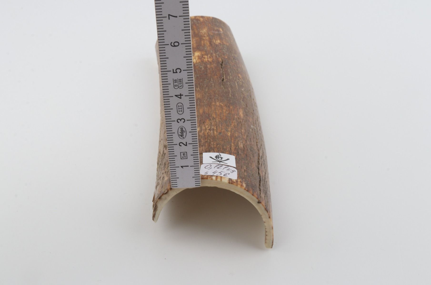Brown mammoth bark