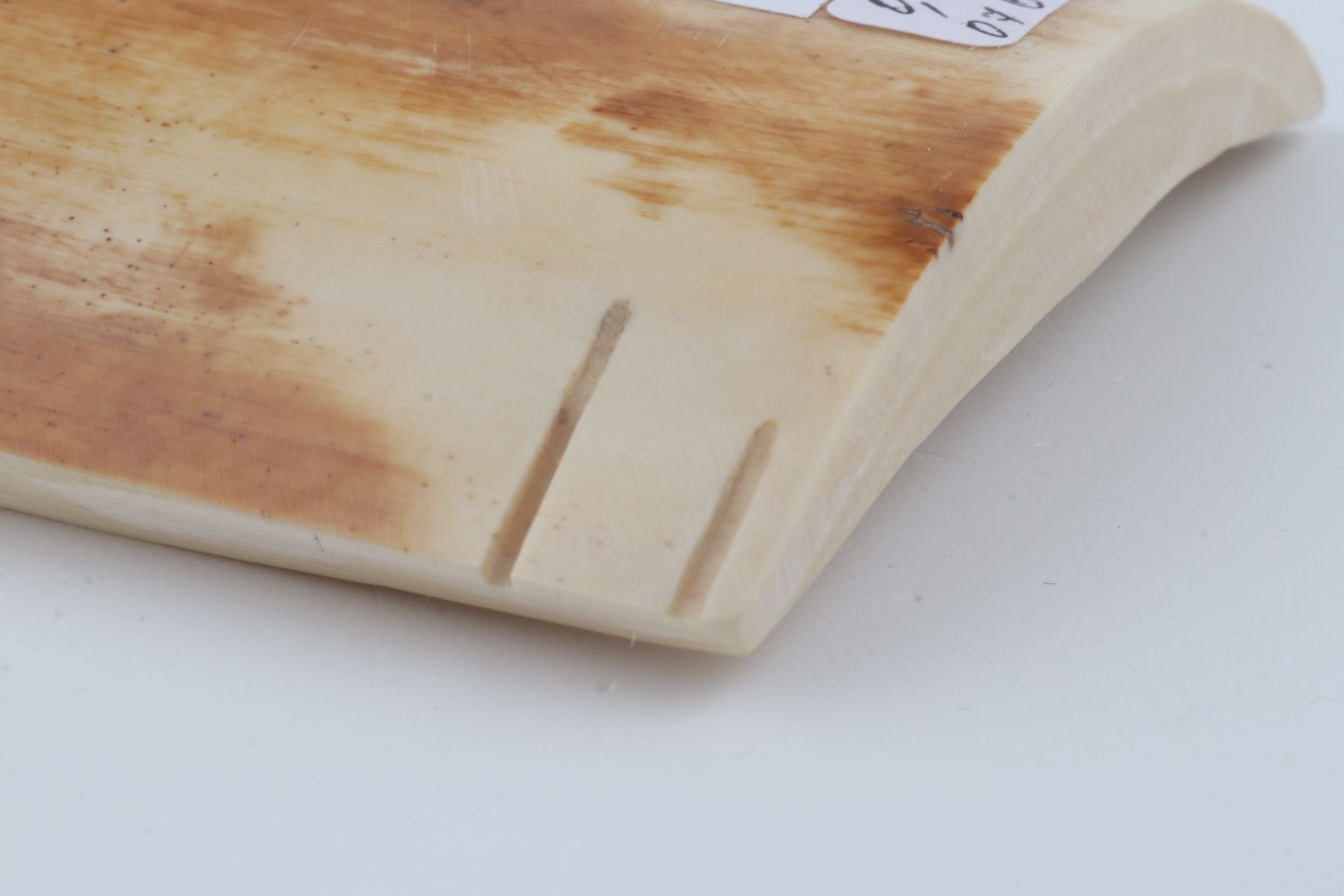 Yellow-orange mammoth bark