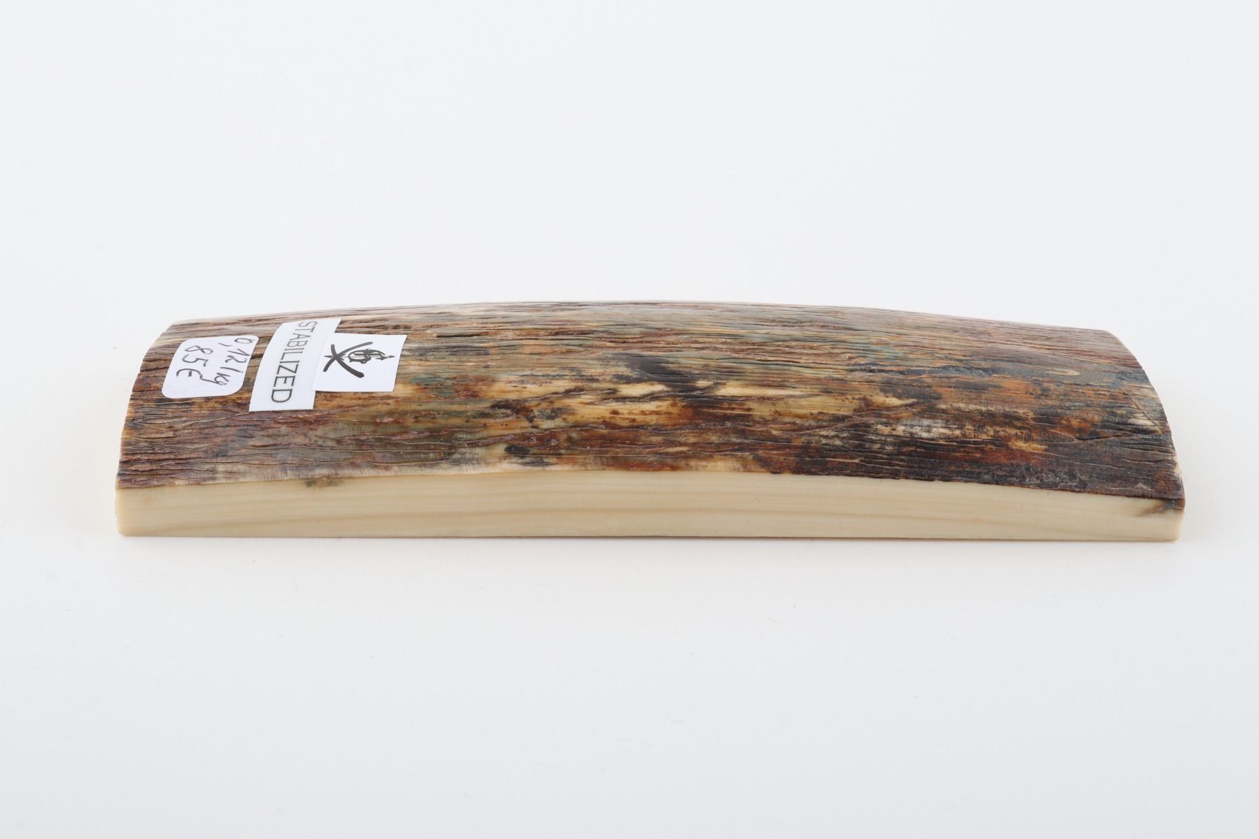Stabilized mammoth bark piece
