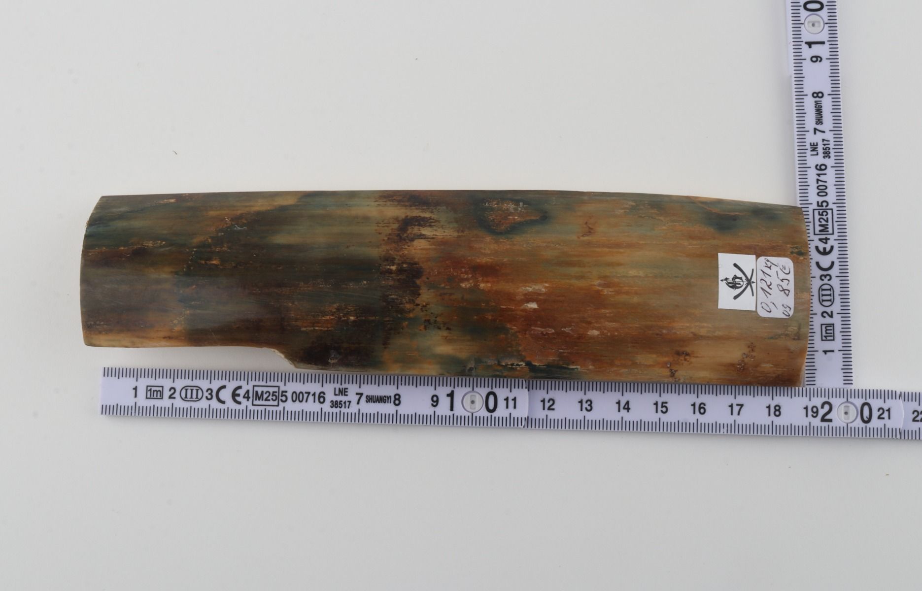 Multicoloured mammoth bark
