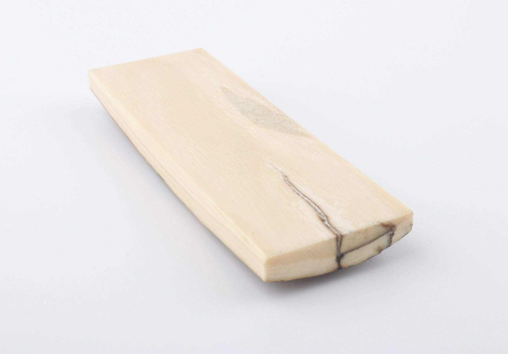 Stabilized mammoth bark piece