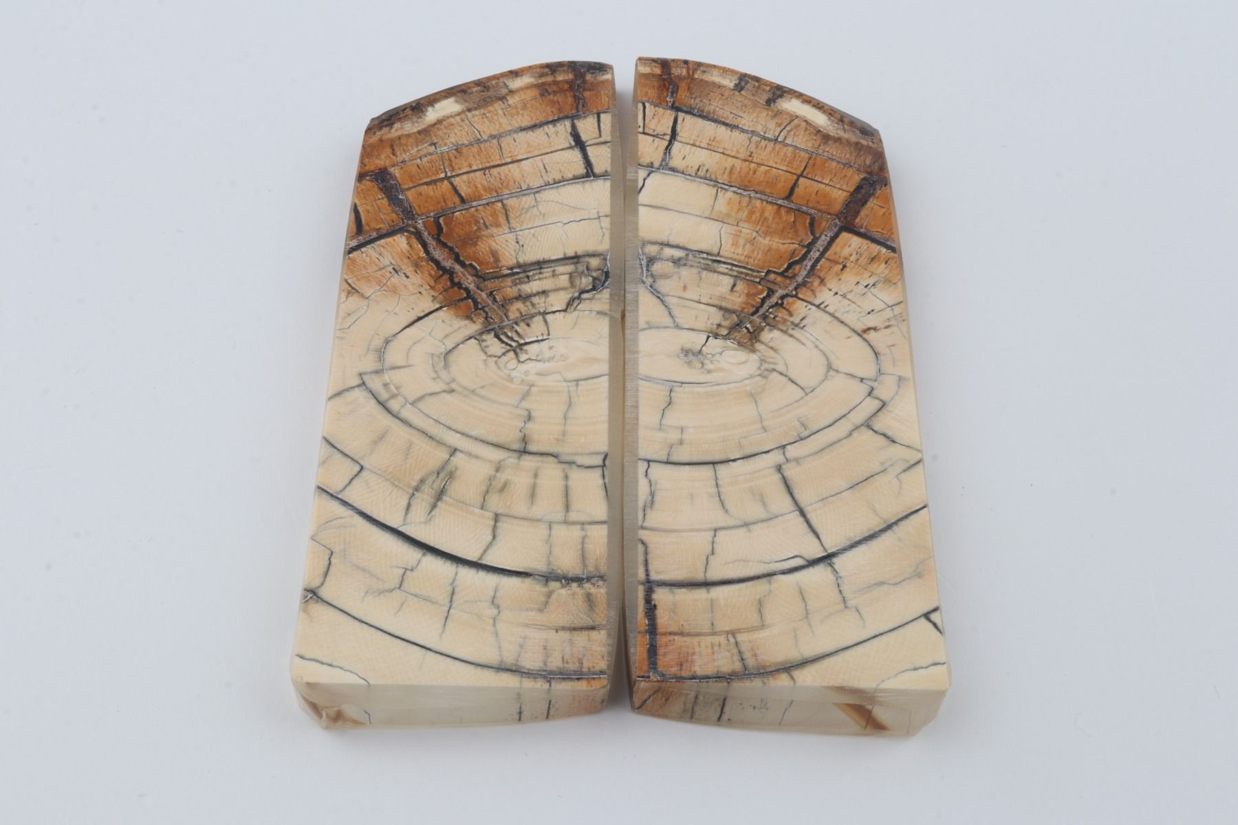Stabilised mammoth ivory scales