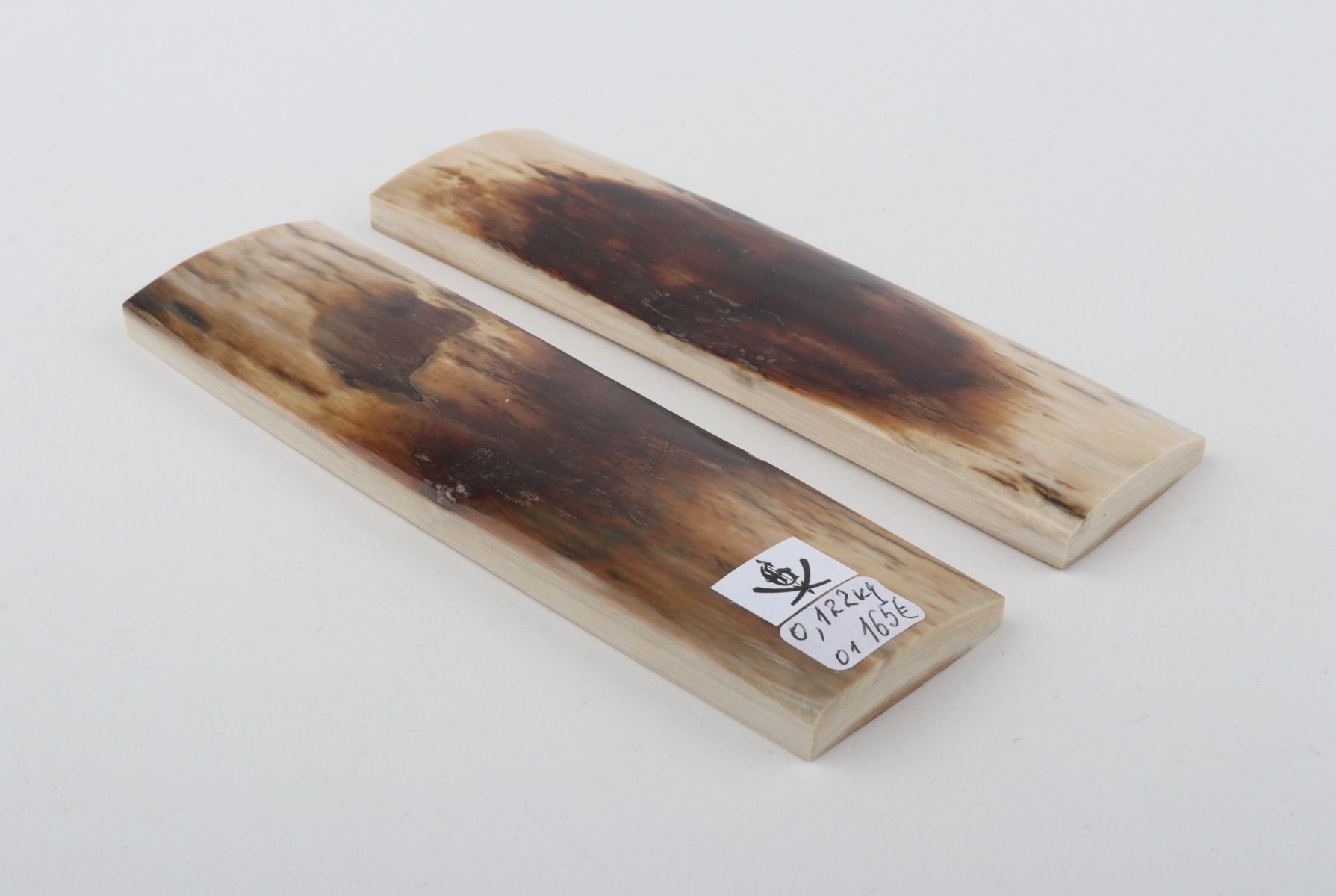 Natural mammoth bark scales
