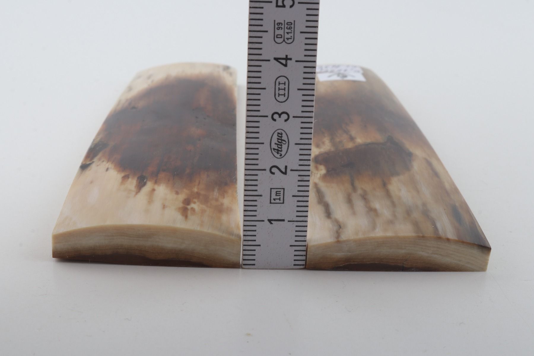 Natural mammoth bark scales