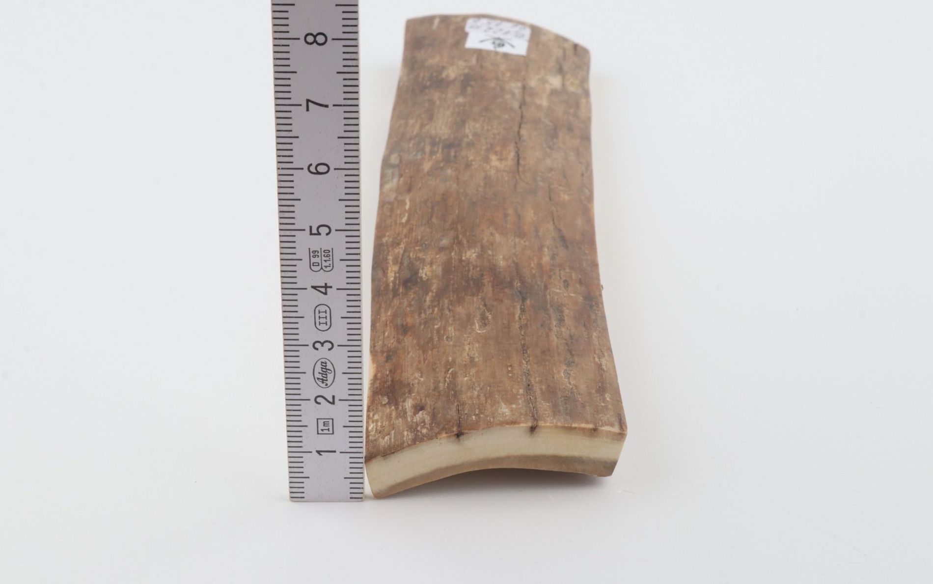 Beige mammoth bark