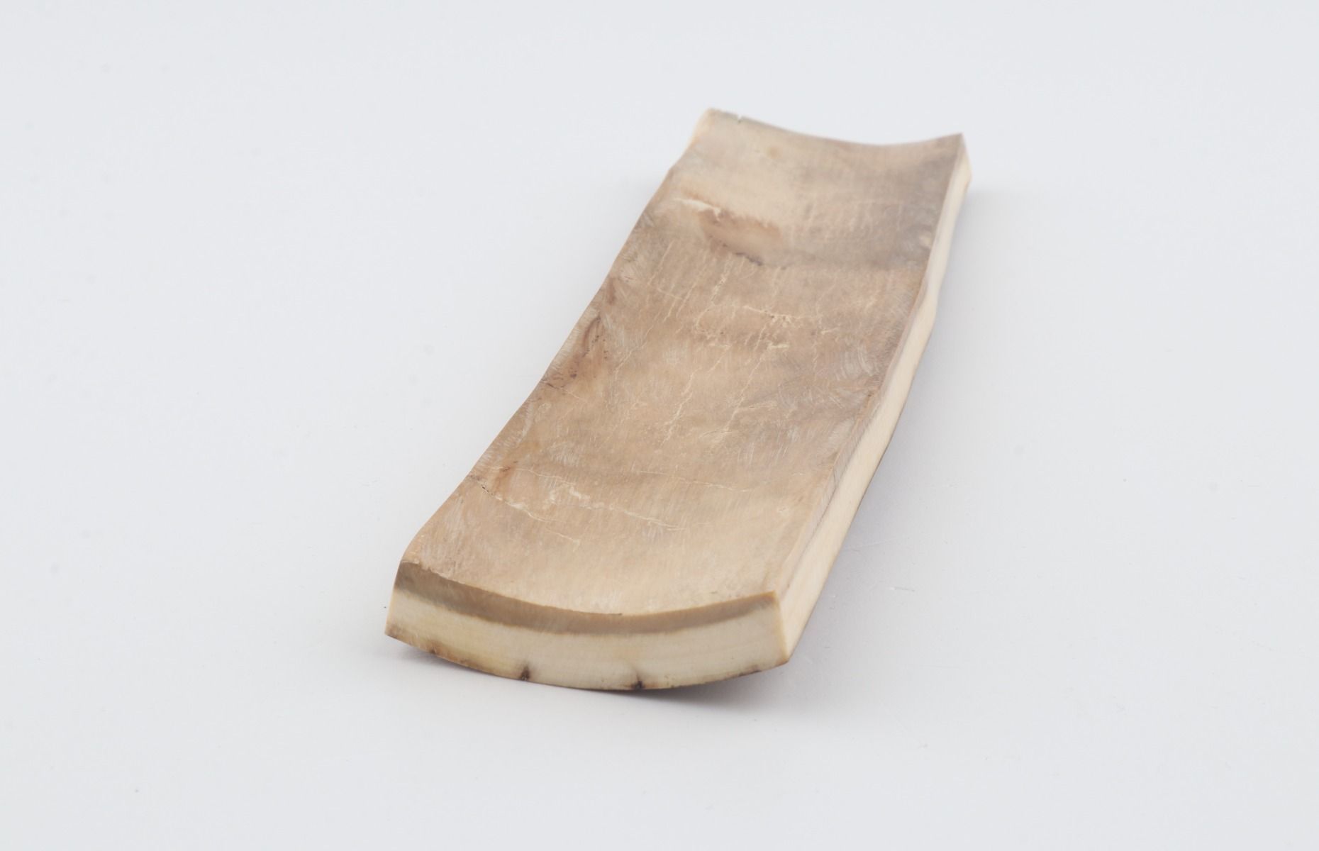 Beige mammoth bark