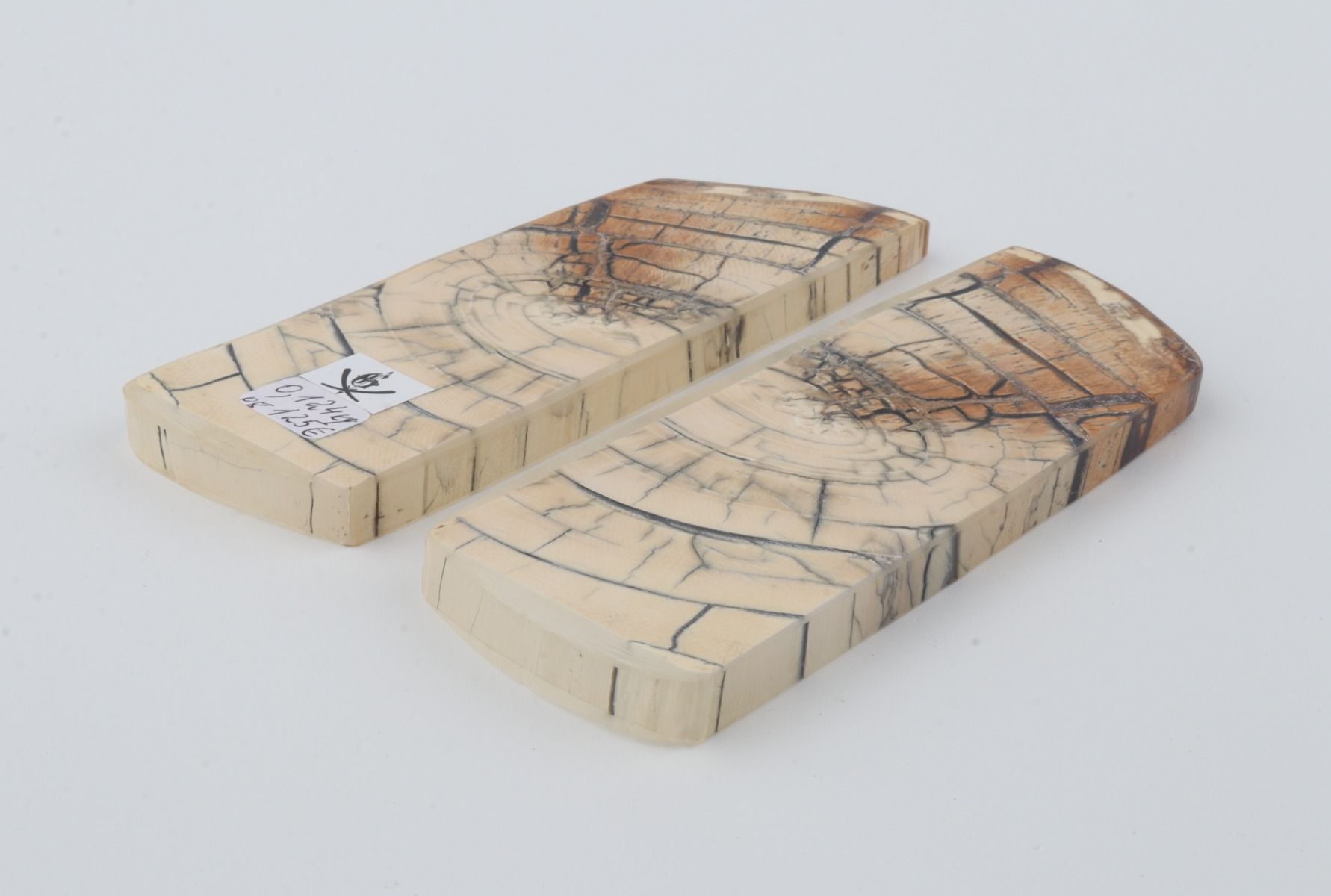 Stabilised mammoth ivory scales
