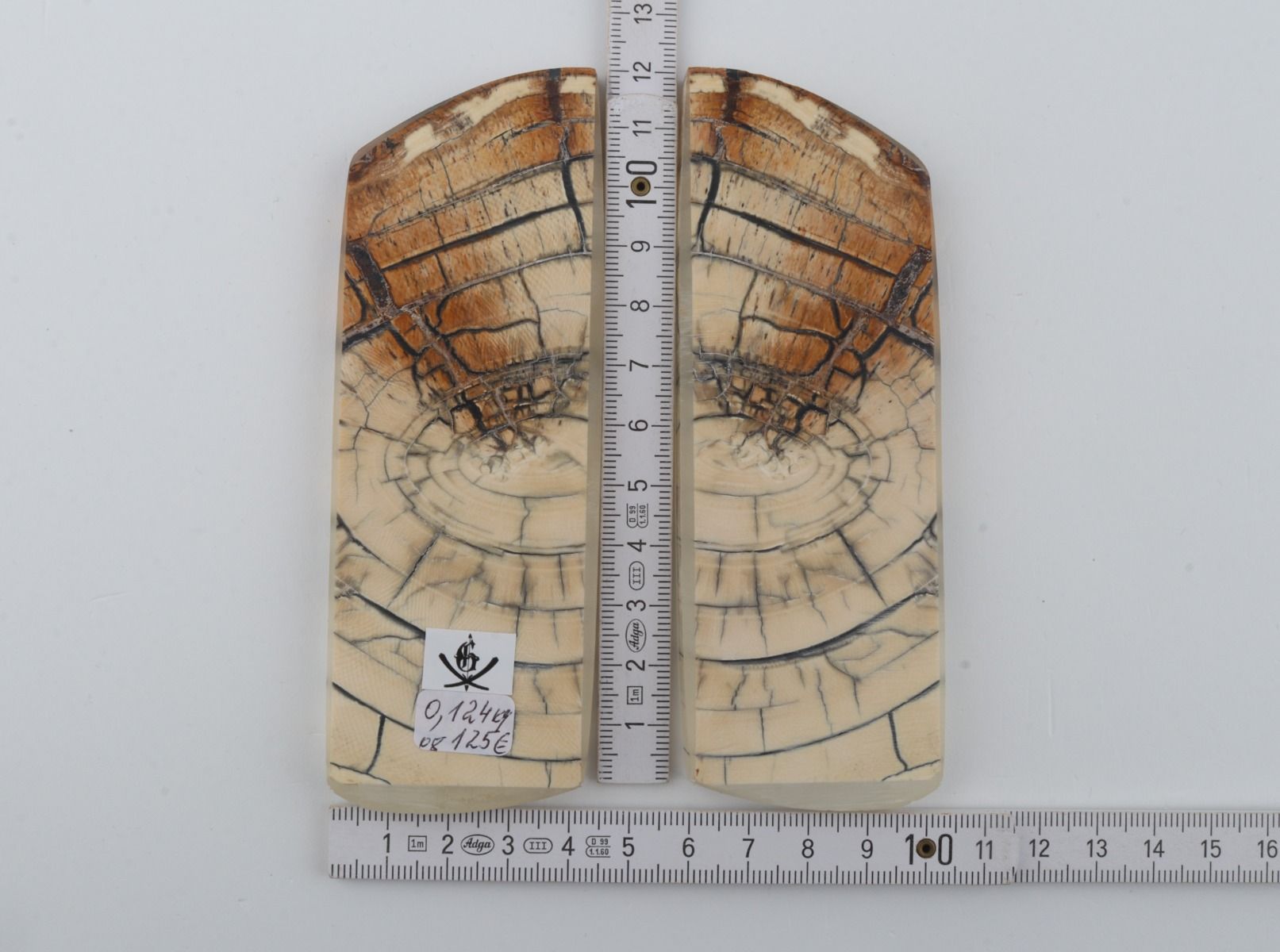 Stabilised mammoth ivory scales