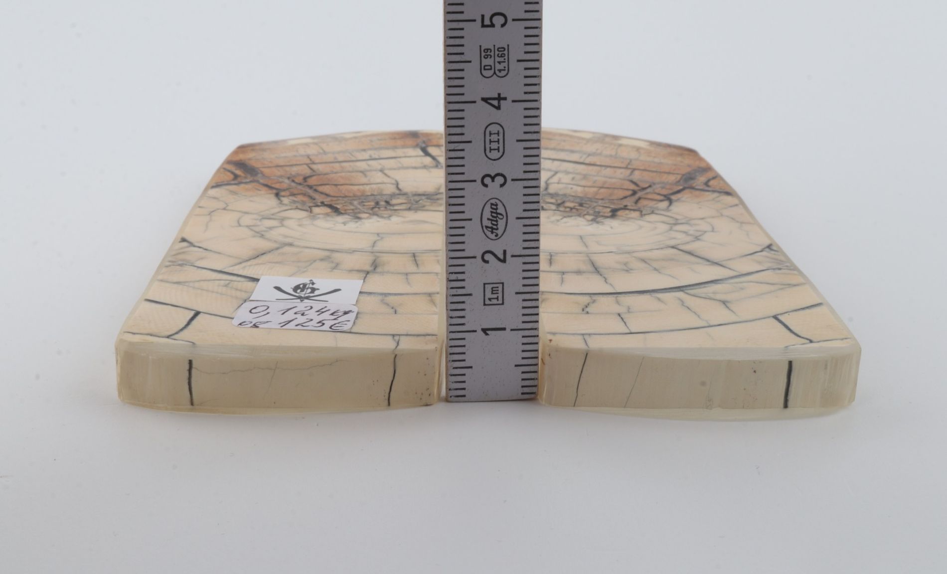 Stabilised mammoth ivory scales