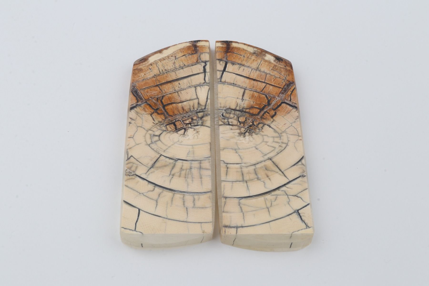 Stabilised mammoth ivory scales