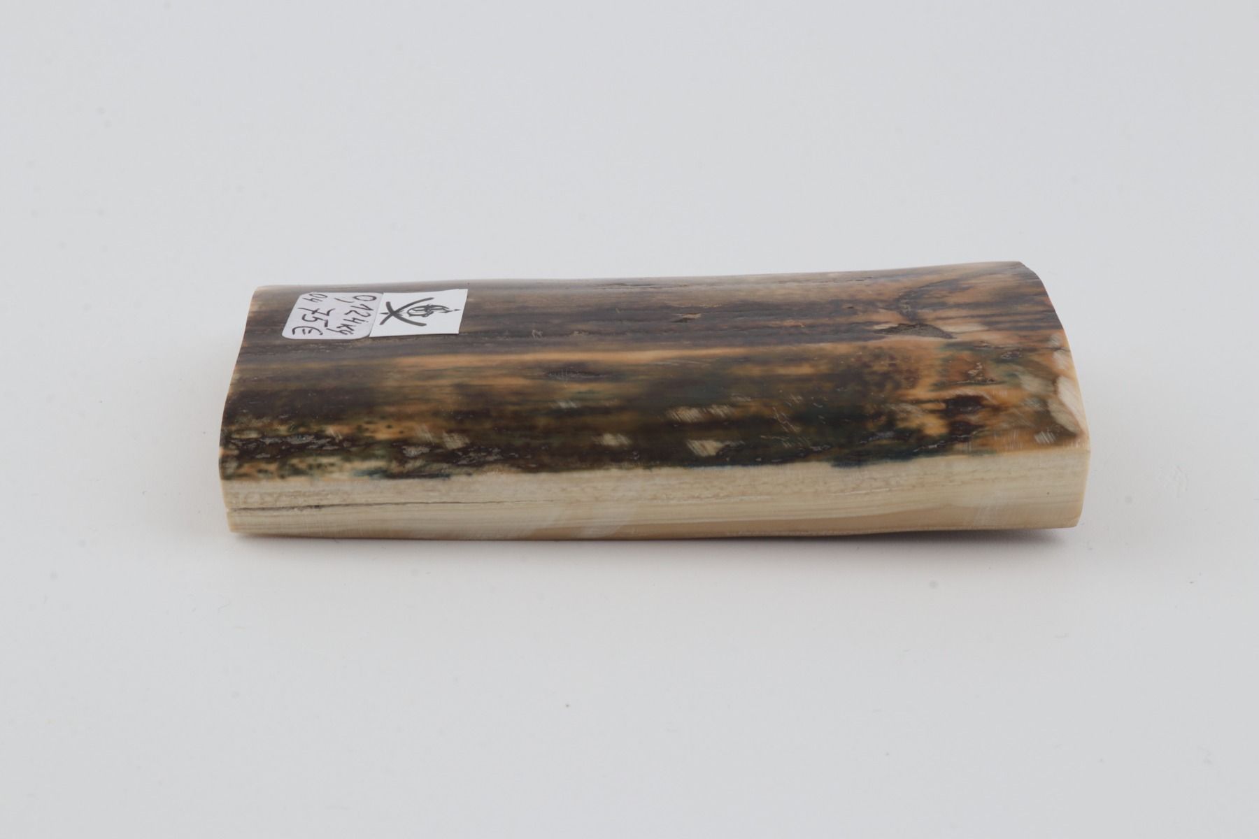 Brown-green mammoth bark
