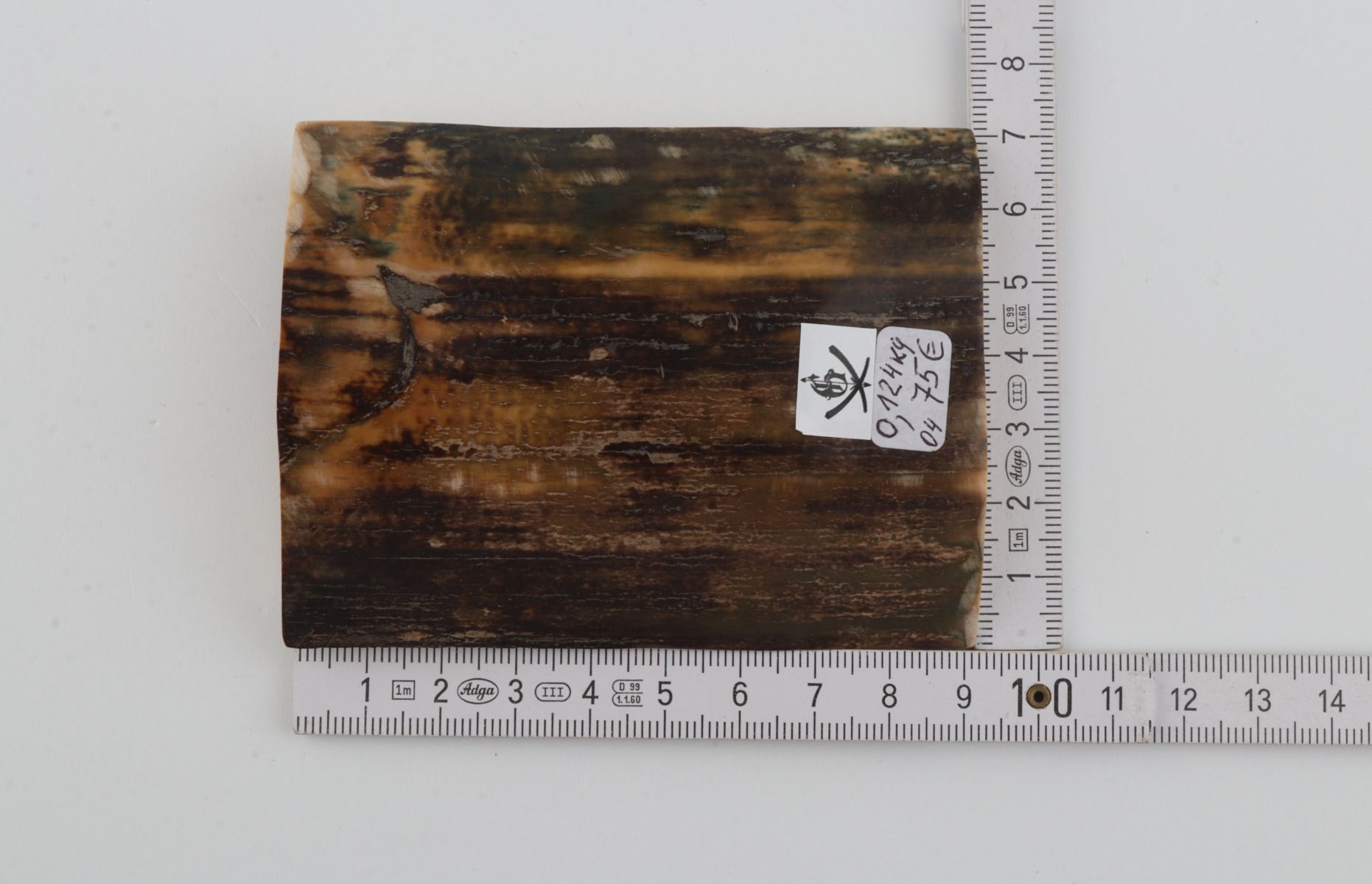 Brown-green mammoth bark
