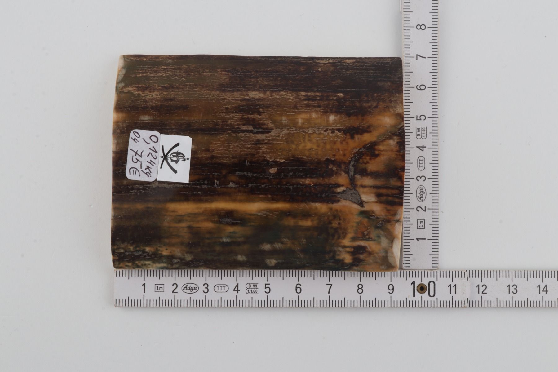 Brown-green mammoth bark
