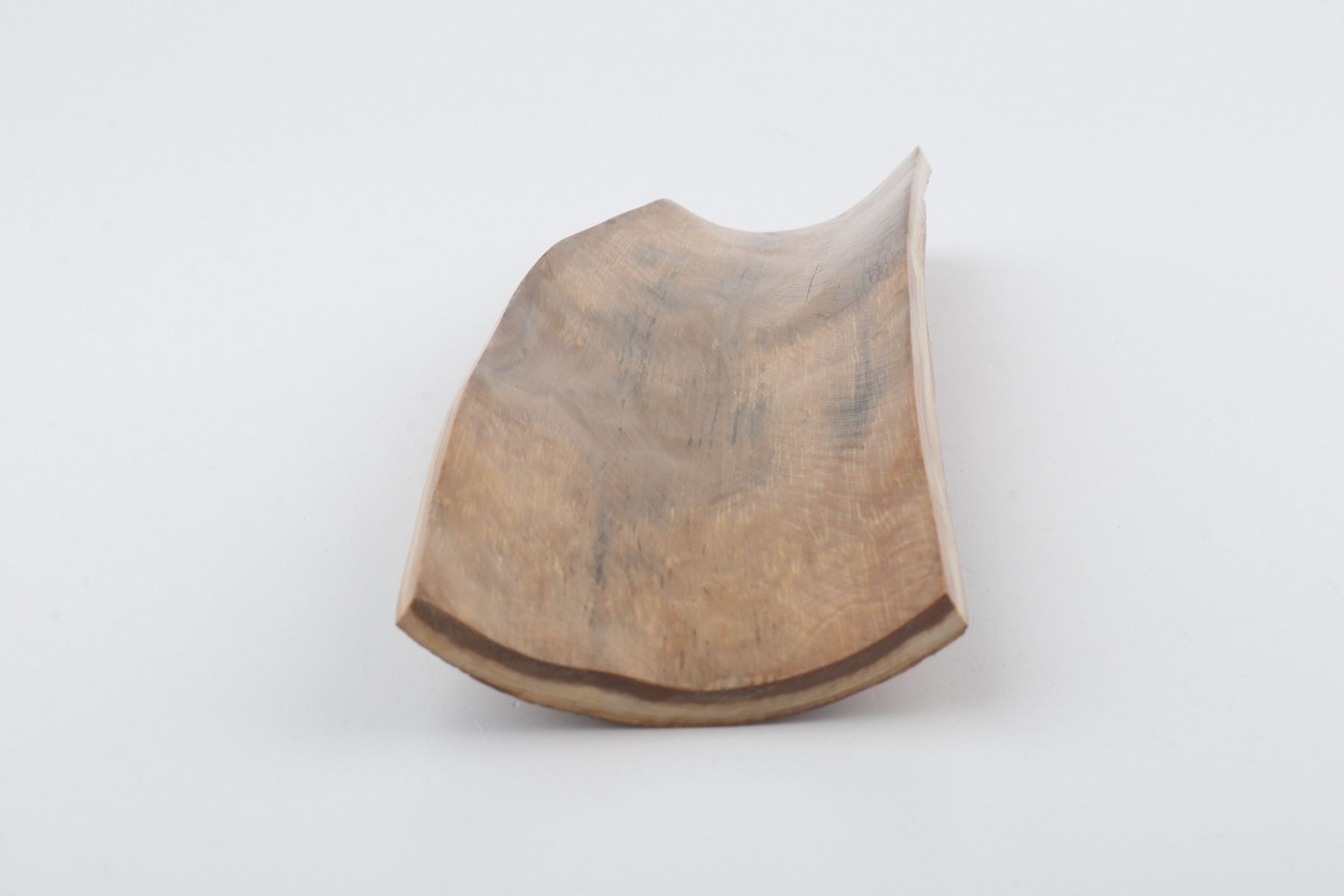 Beige mammoth bark