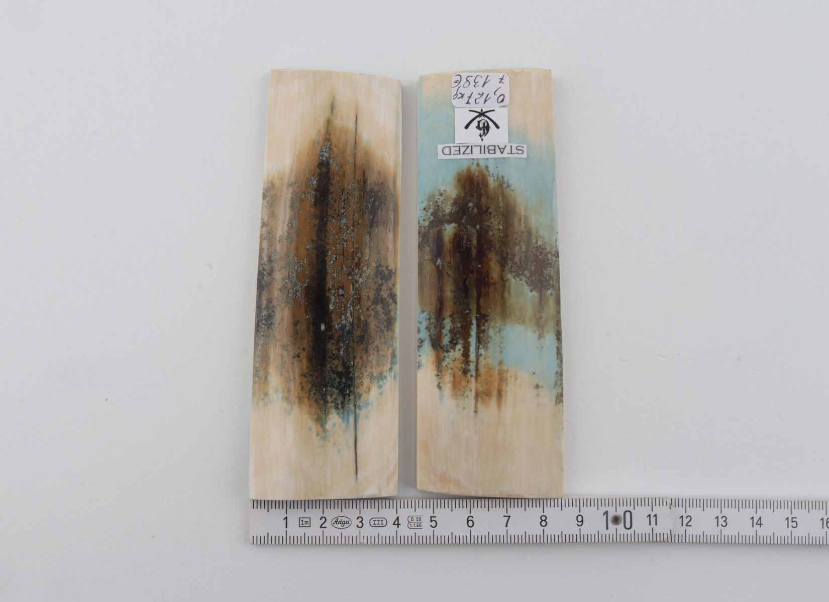 Stabilised mammoth bark scales