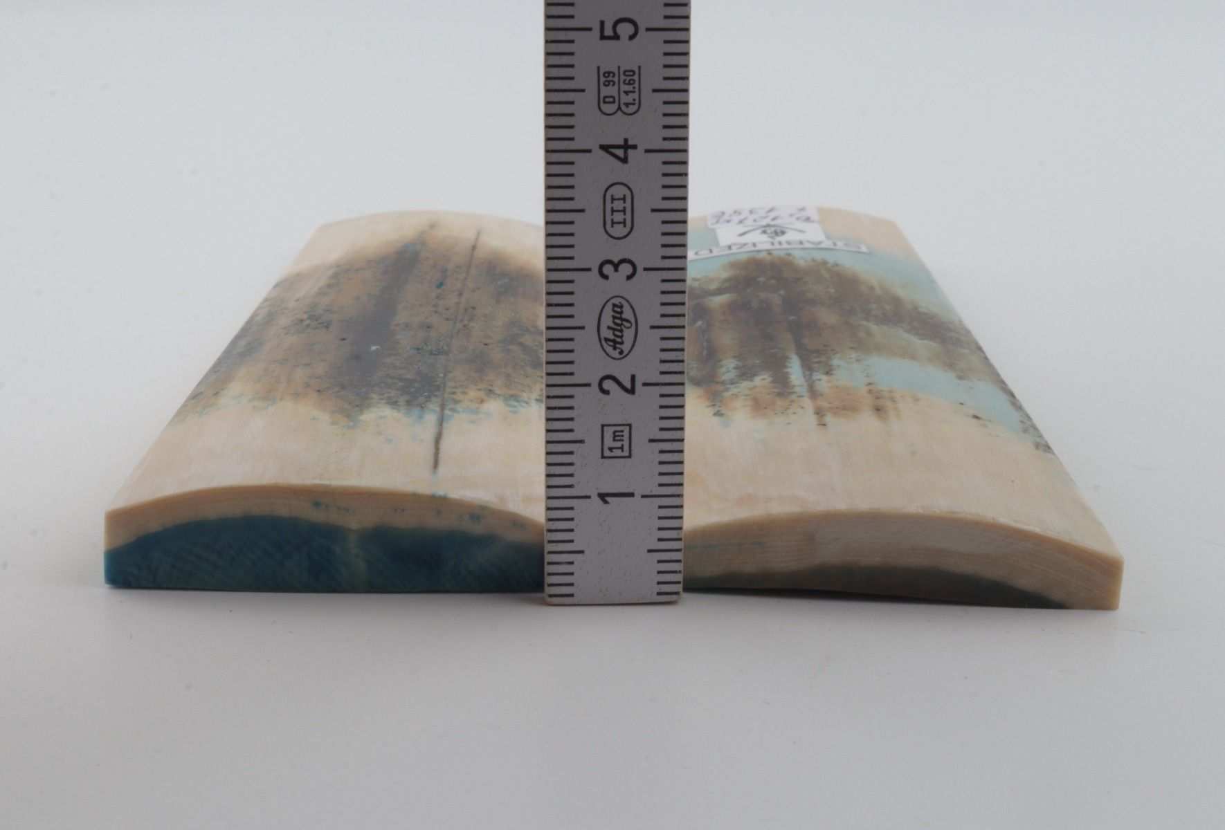 Stabilised mammoth bark scales