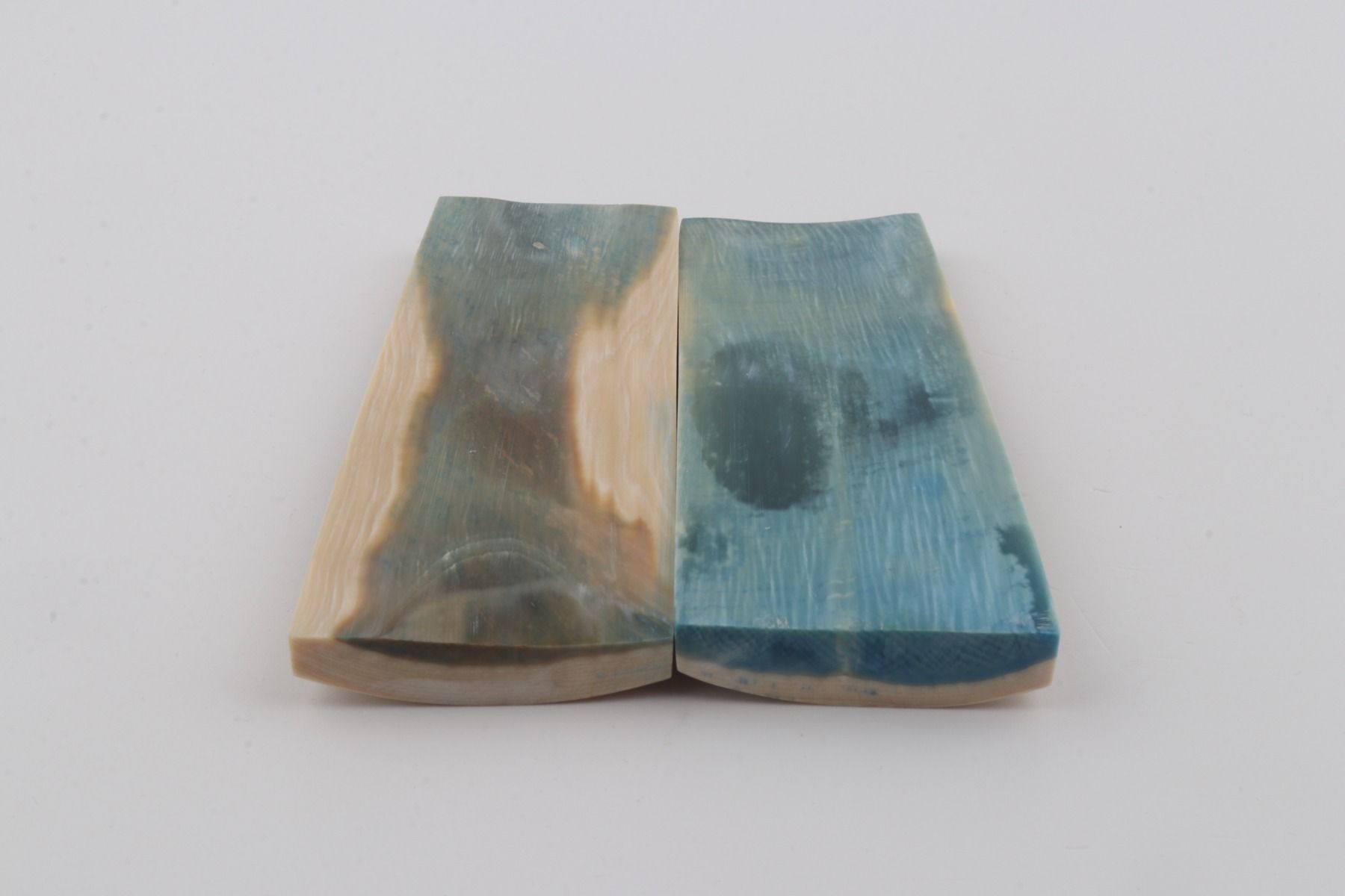 Stabilised mammoth bark scales