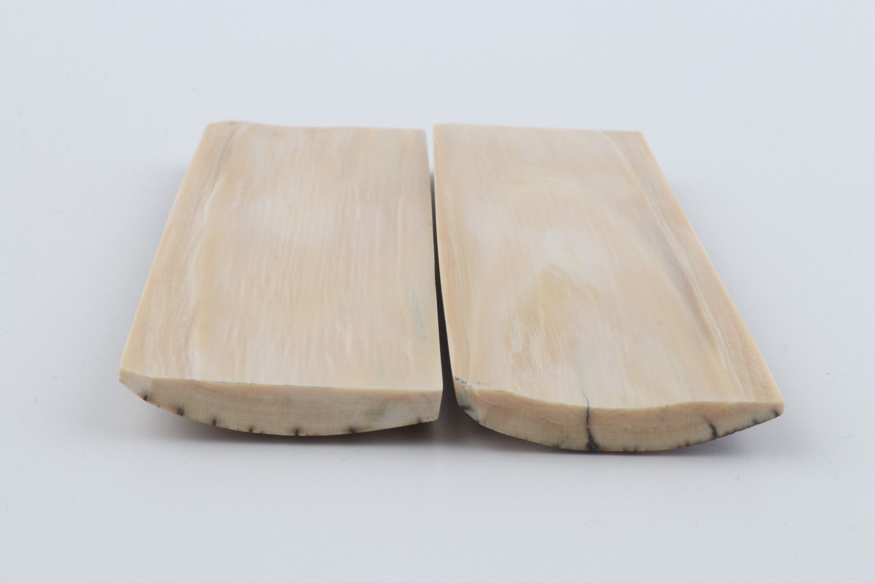 Natural mammoth bark scales