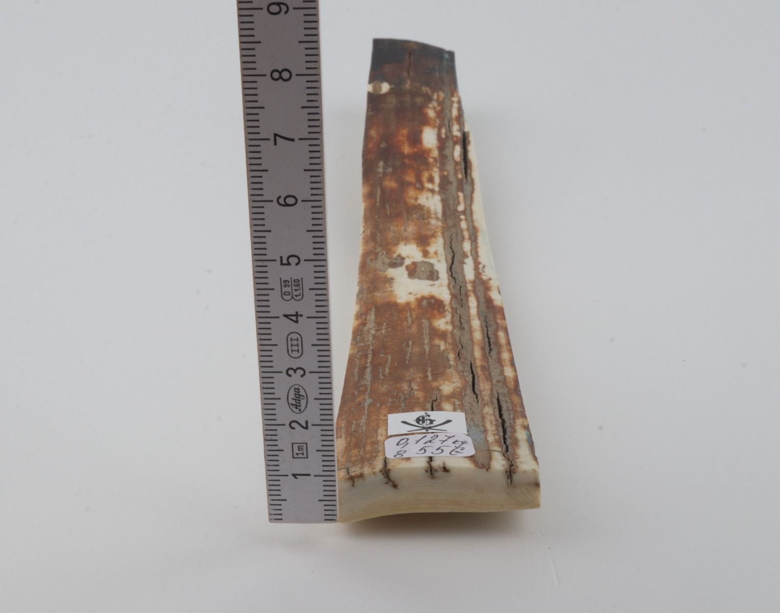 Orange-brown mammoth bark