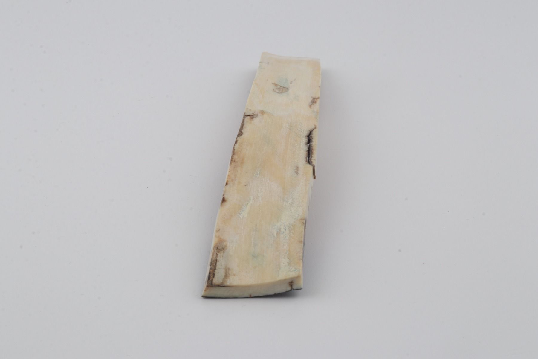 Orange-brown mammoth bark