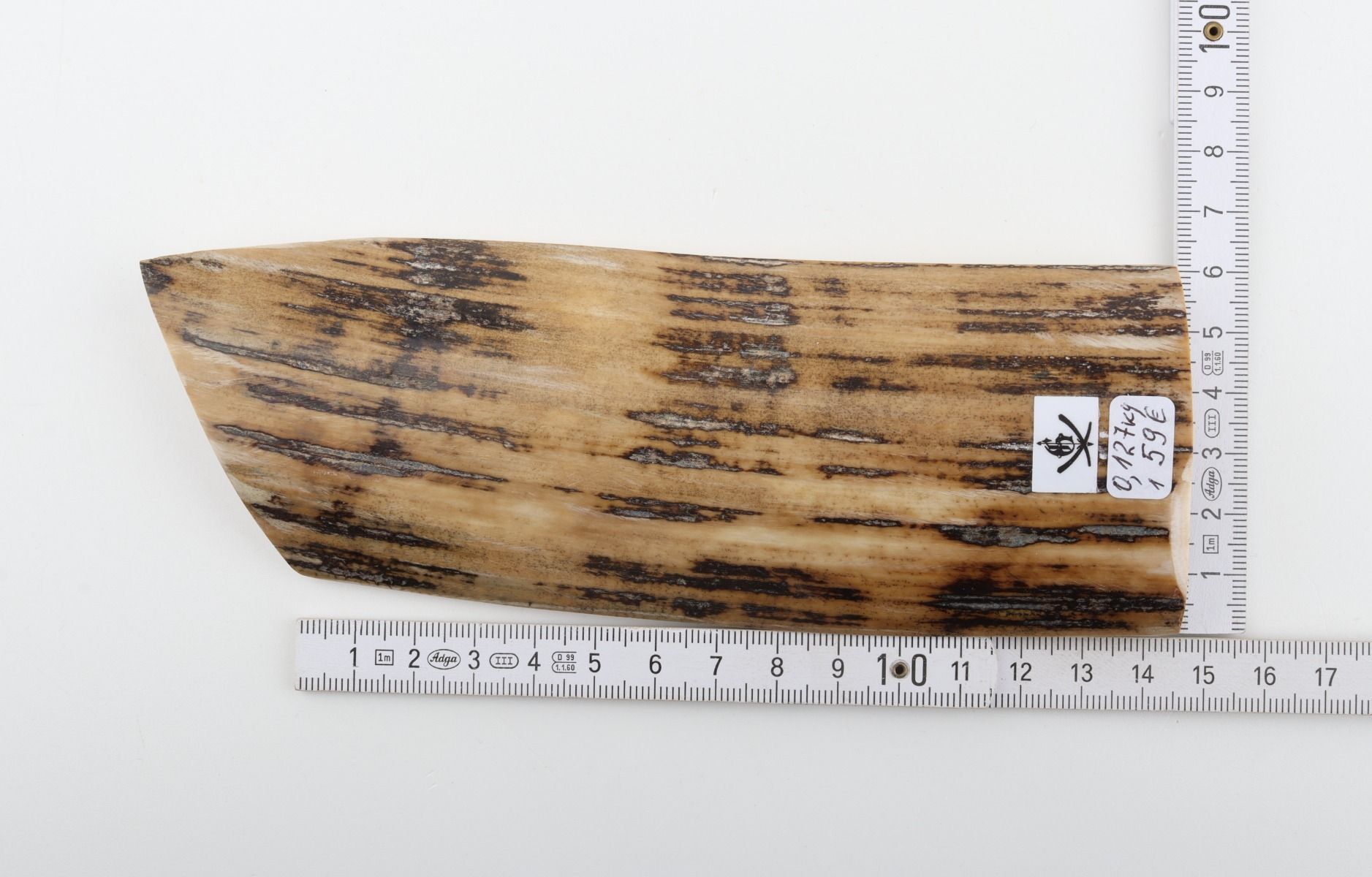 Beige-black mammoth bark