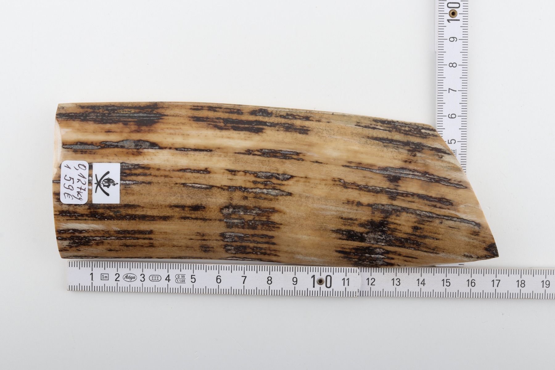 Beige-black mammoth bark