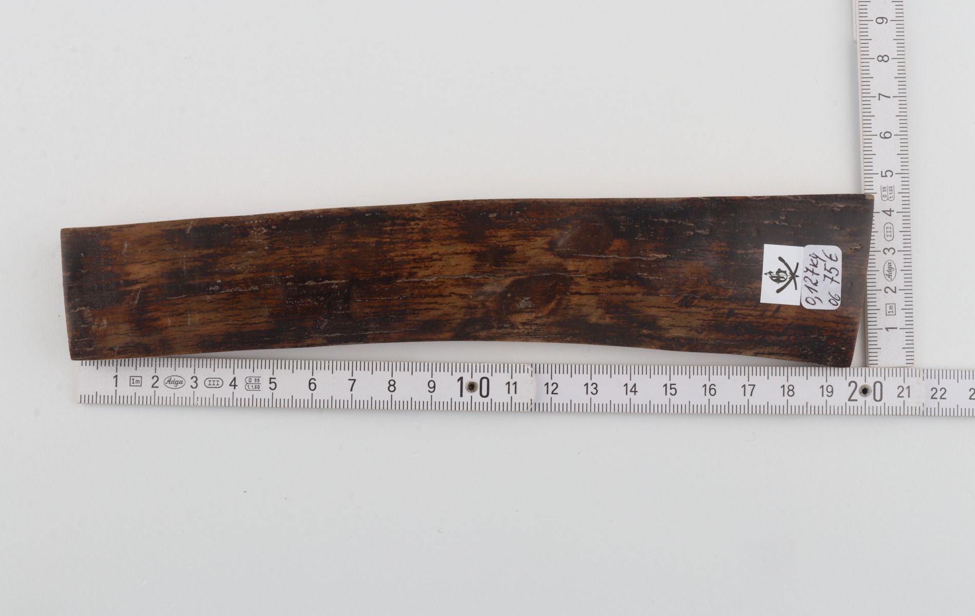 Brown mammoth bark