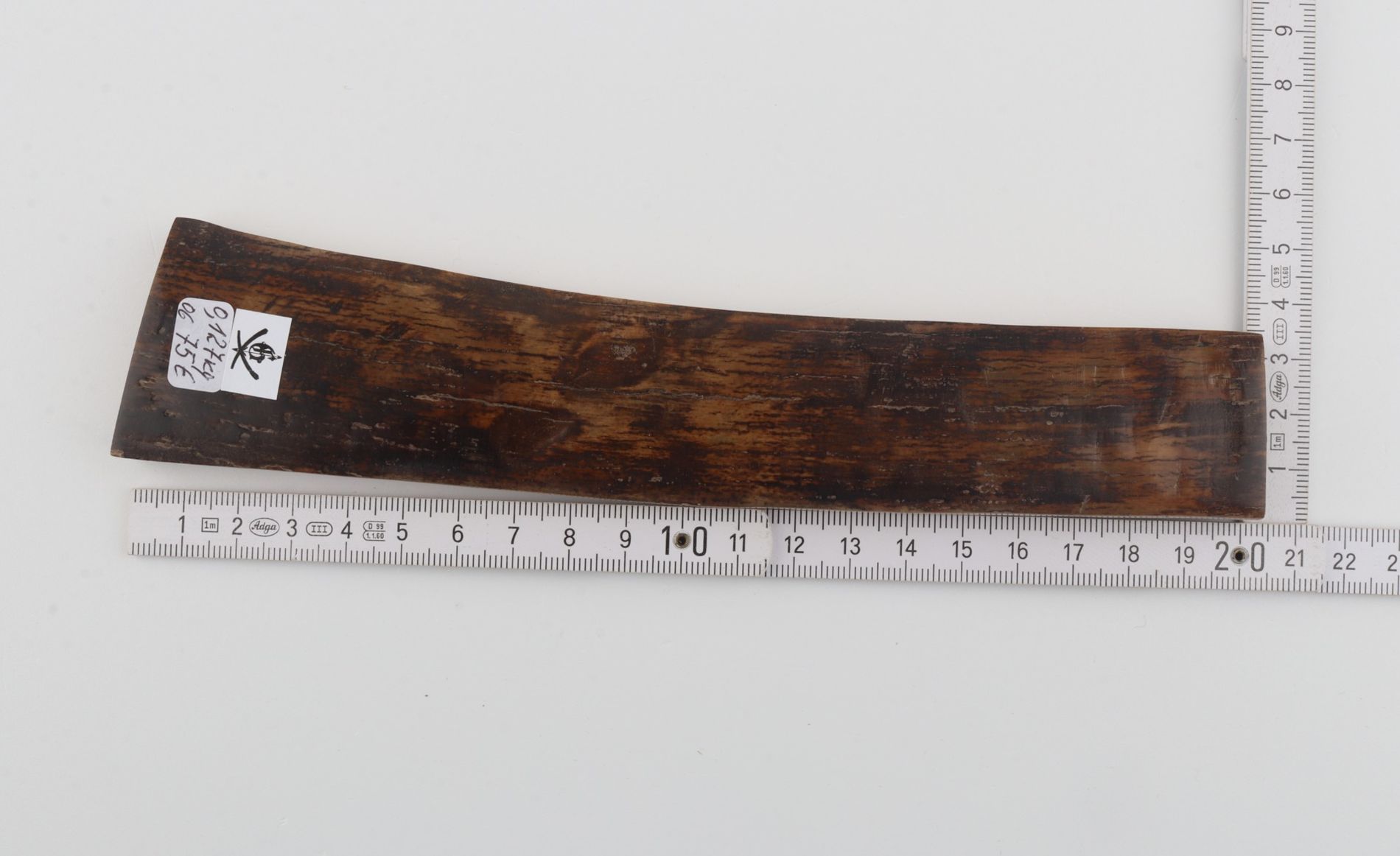 Brown mammoth bark