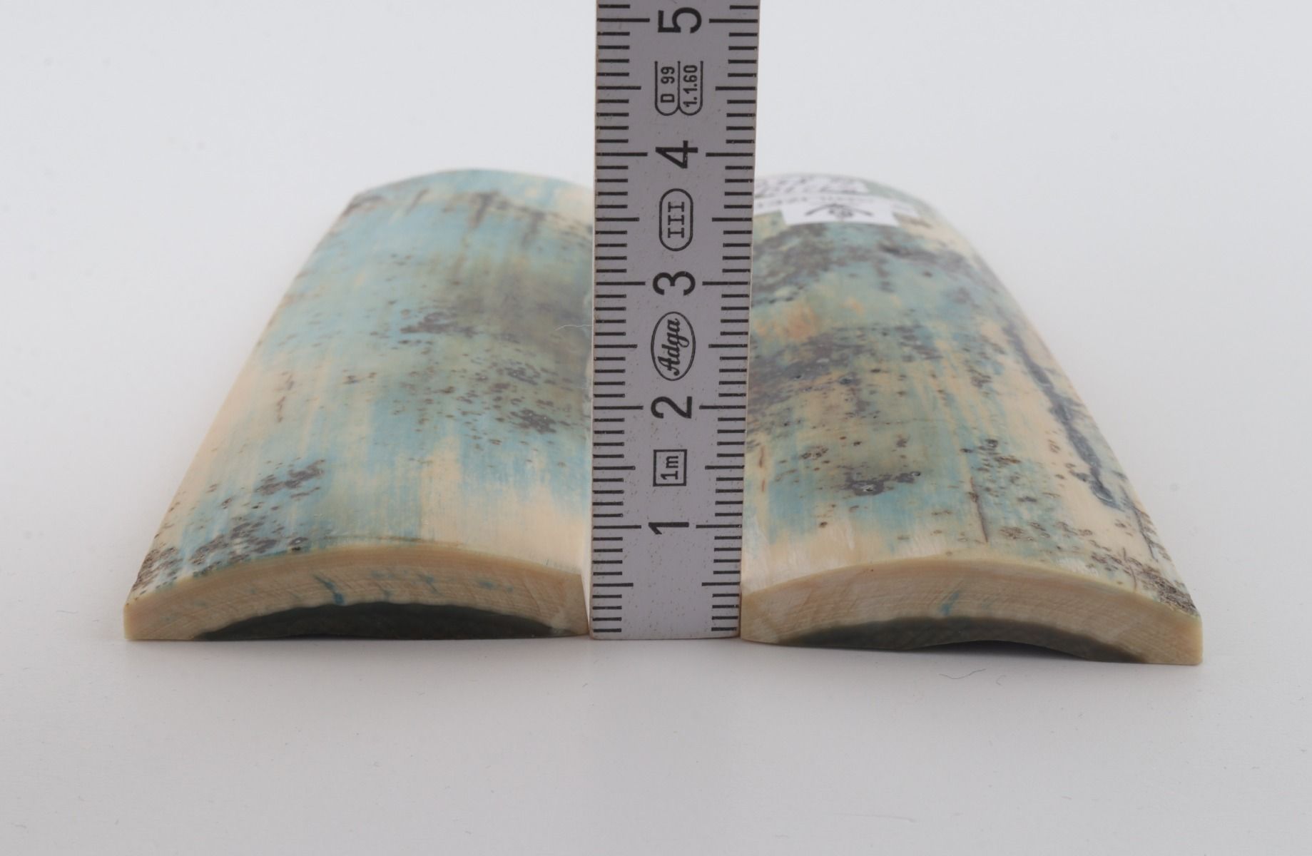 Stabilised mammoth bark scales