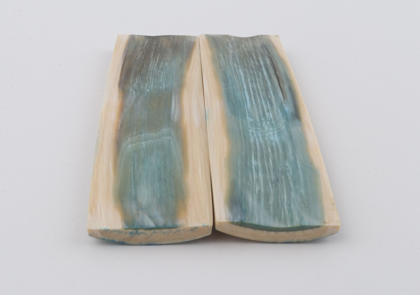 Stabilised mammoth bark scales