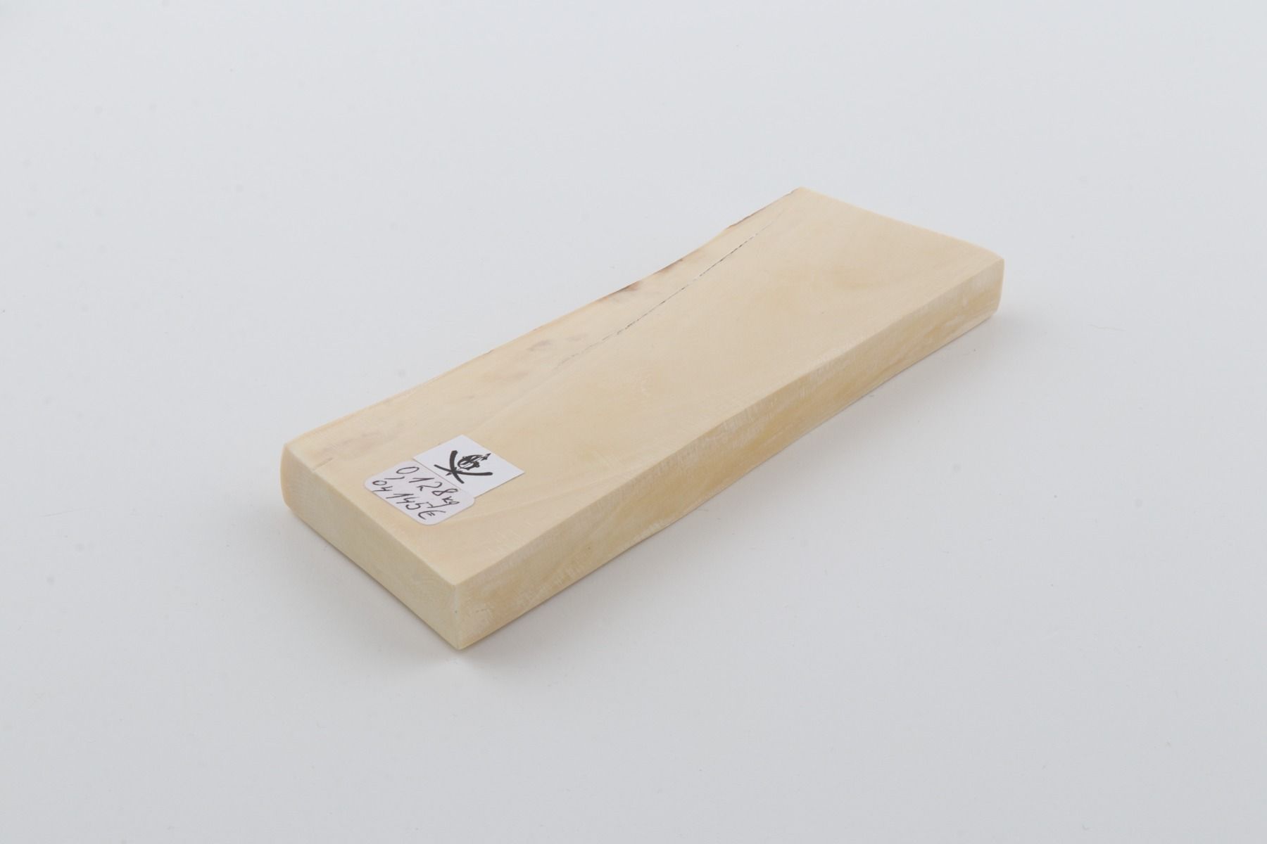 White mammoth ivory segment