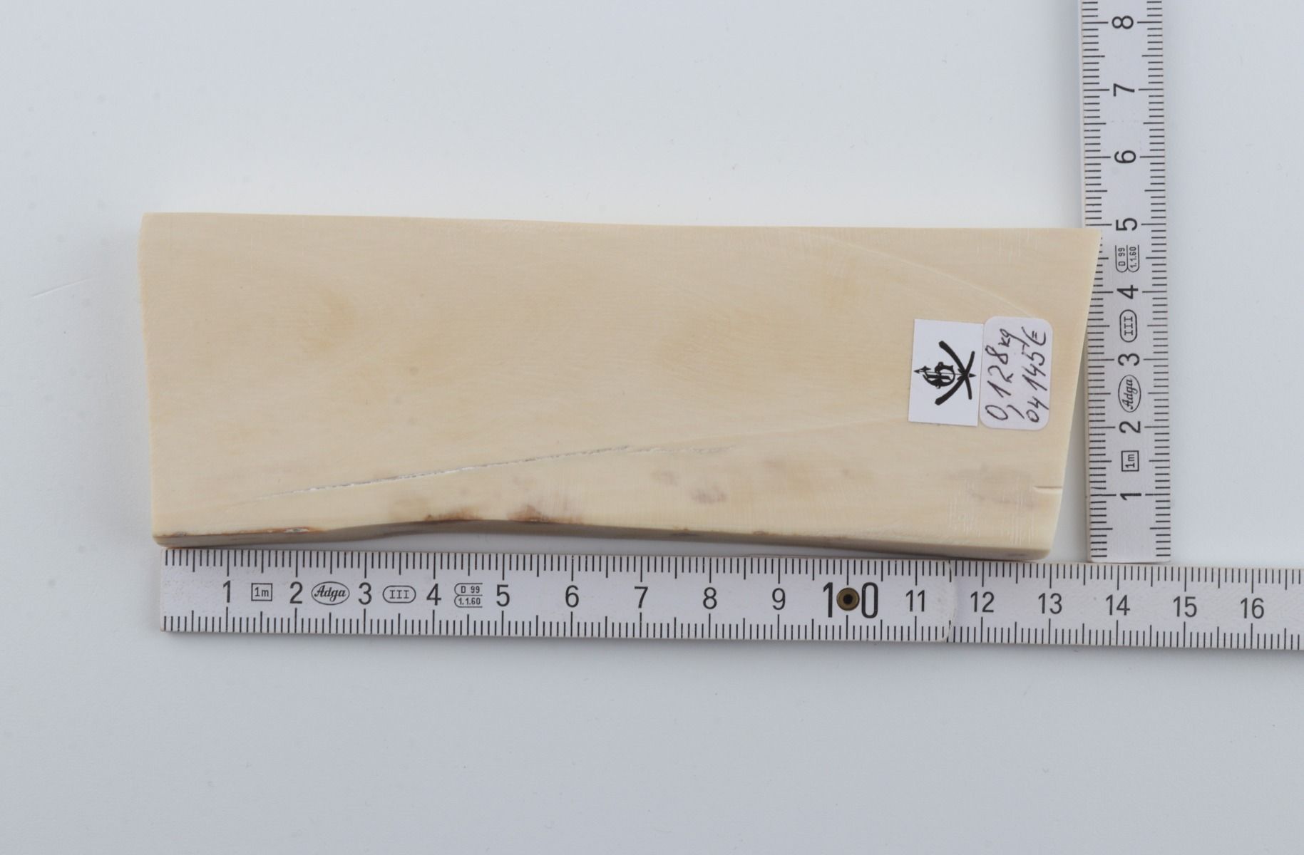 White mammoth ivory segment