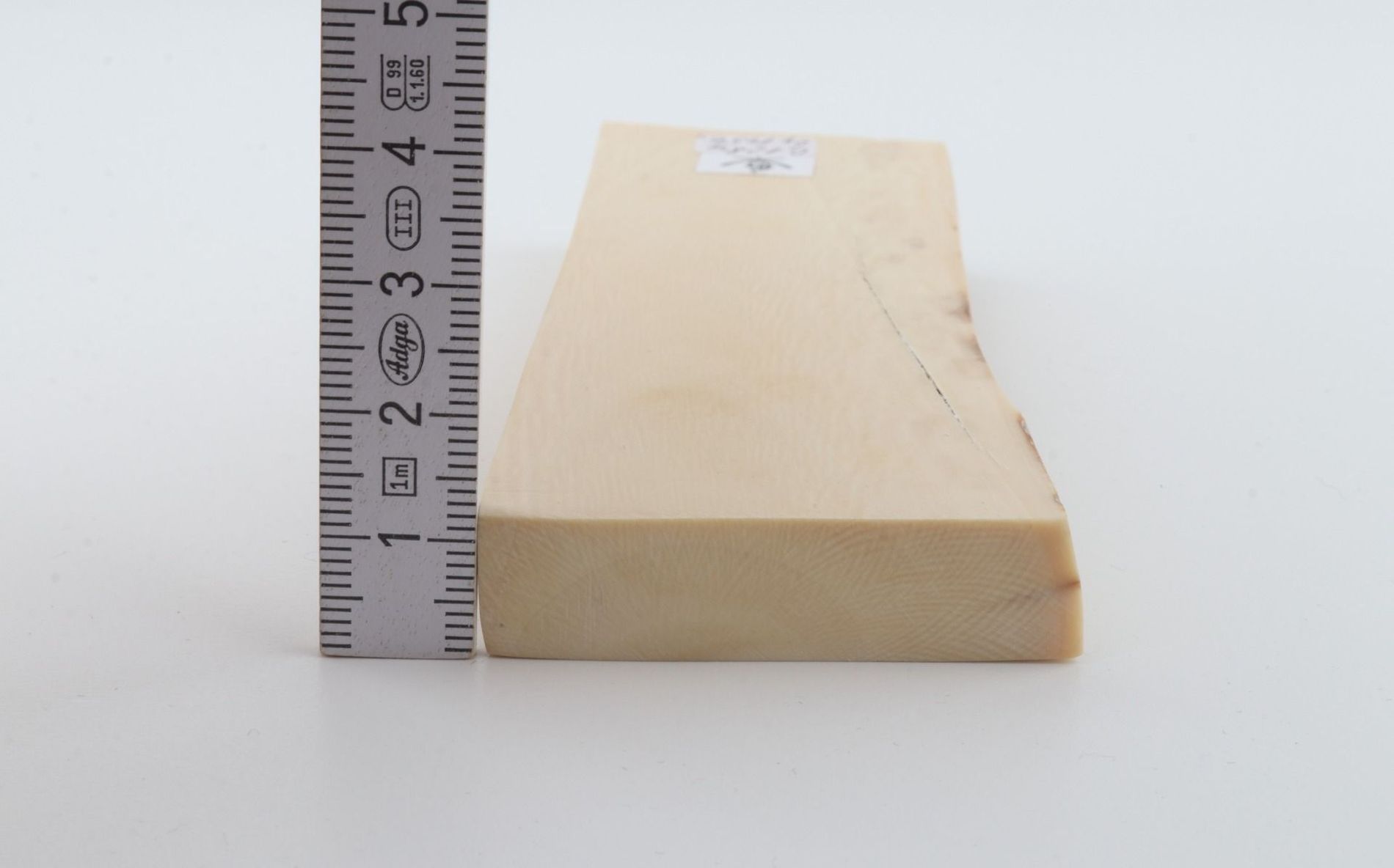 White mammoth ivory segment
